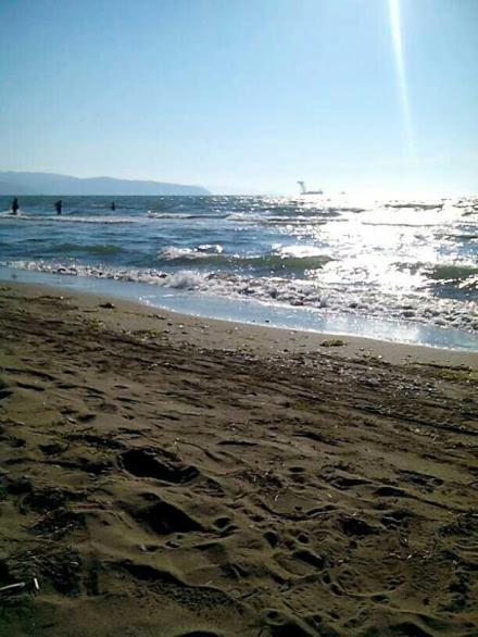 Photo 32