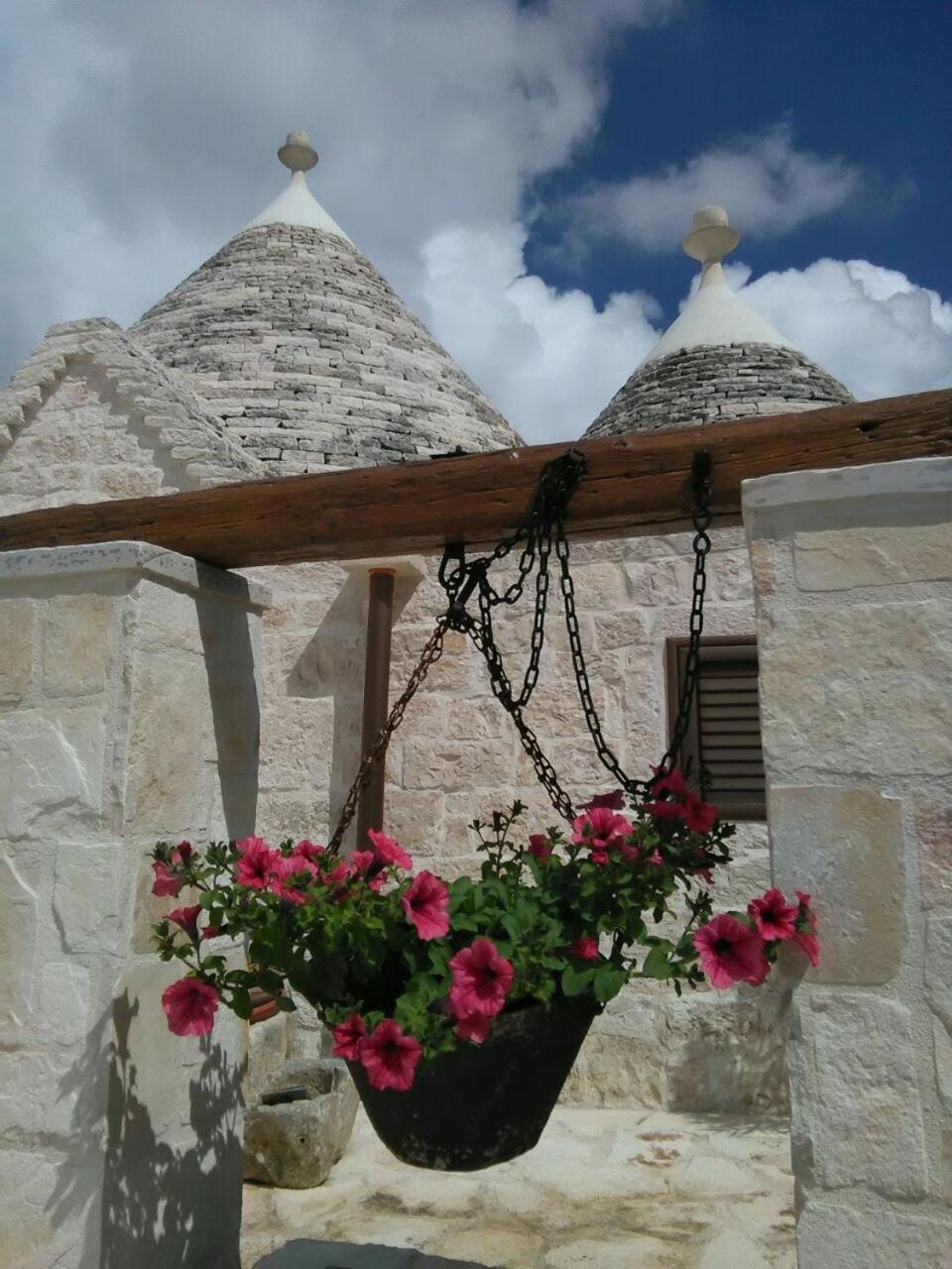 Photo 49