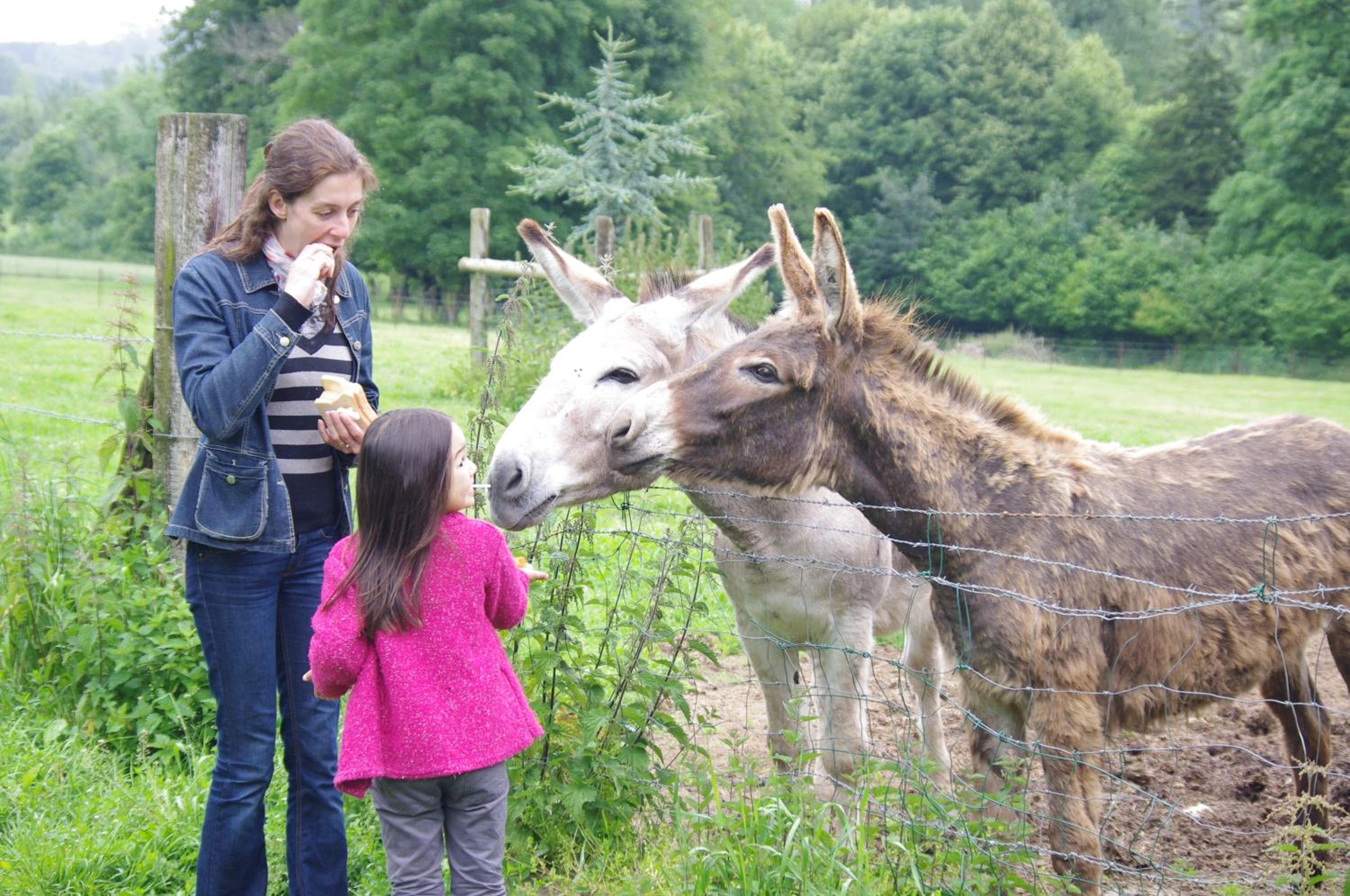 Camping Le Val de Trie