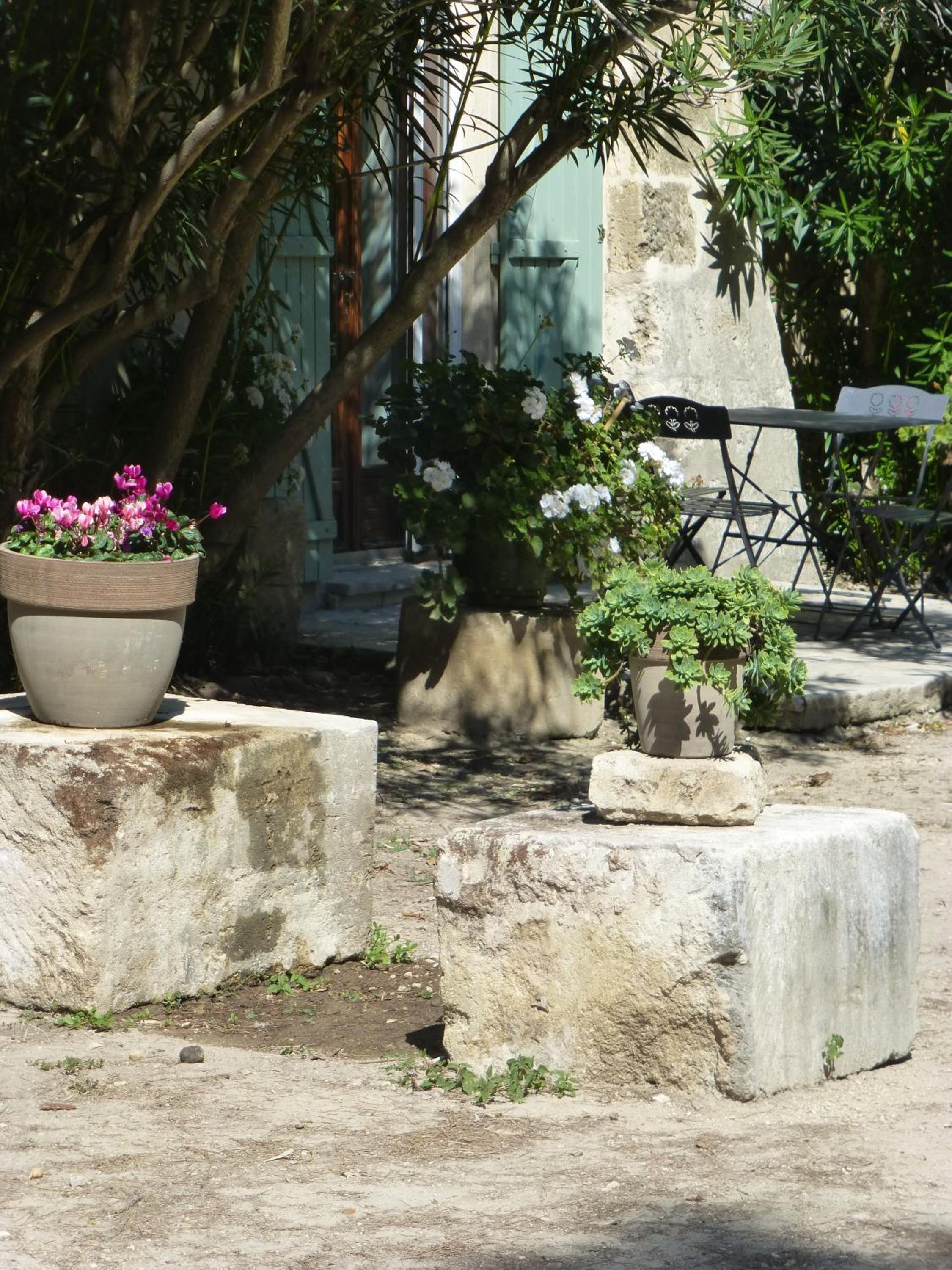 Photo 8