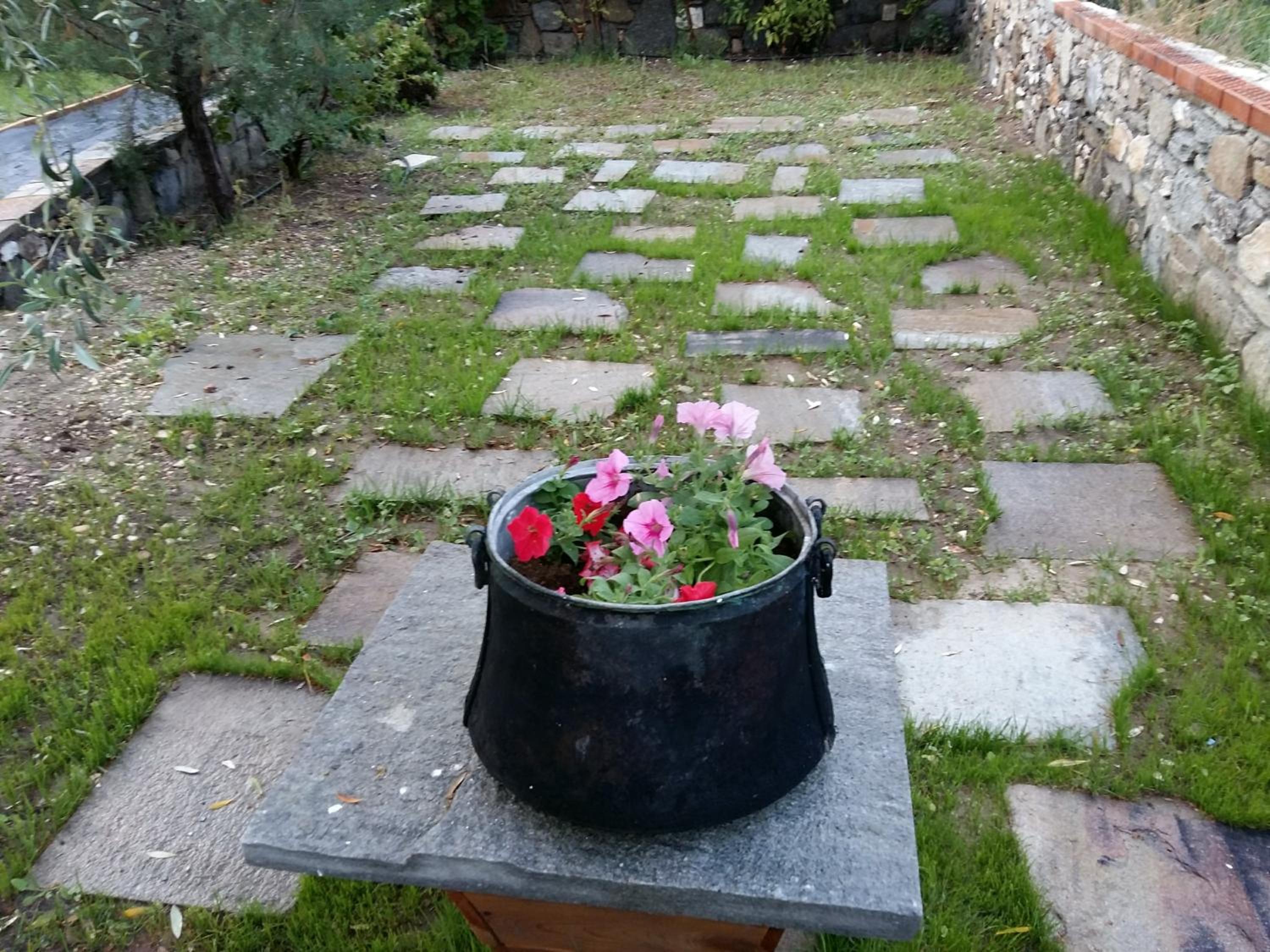 Photo 30