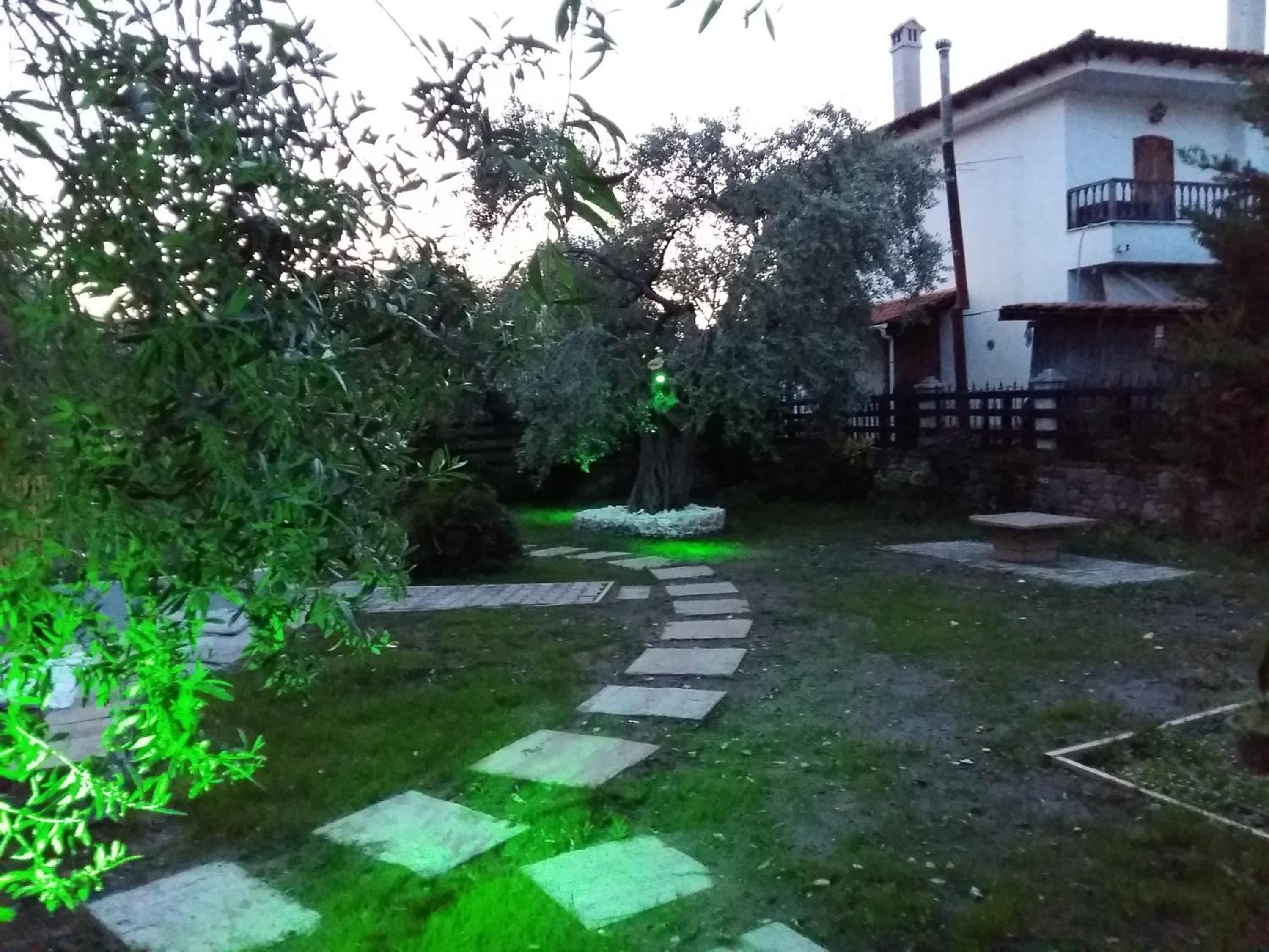 Photo 40