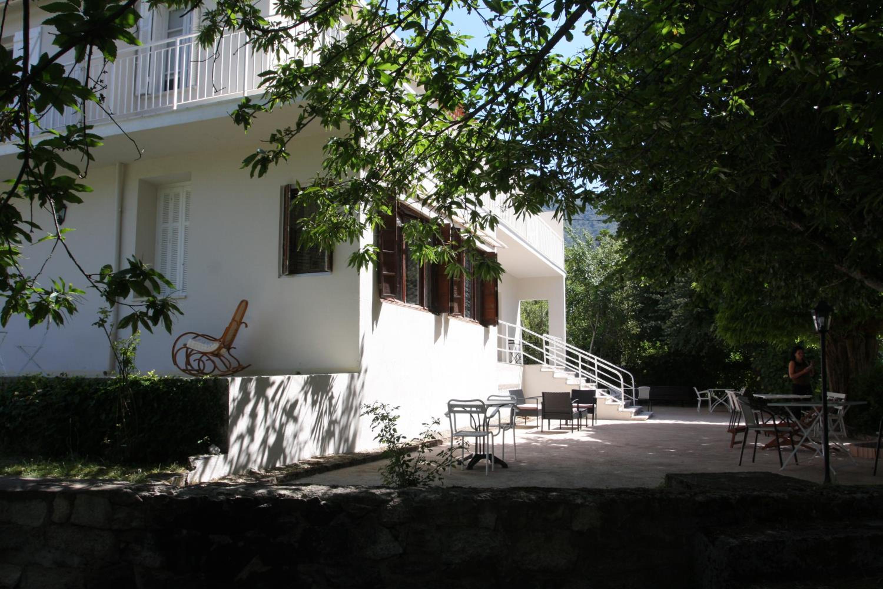 1er Consul