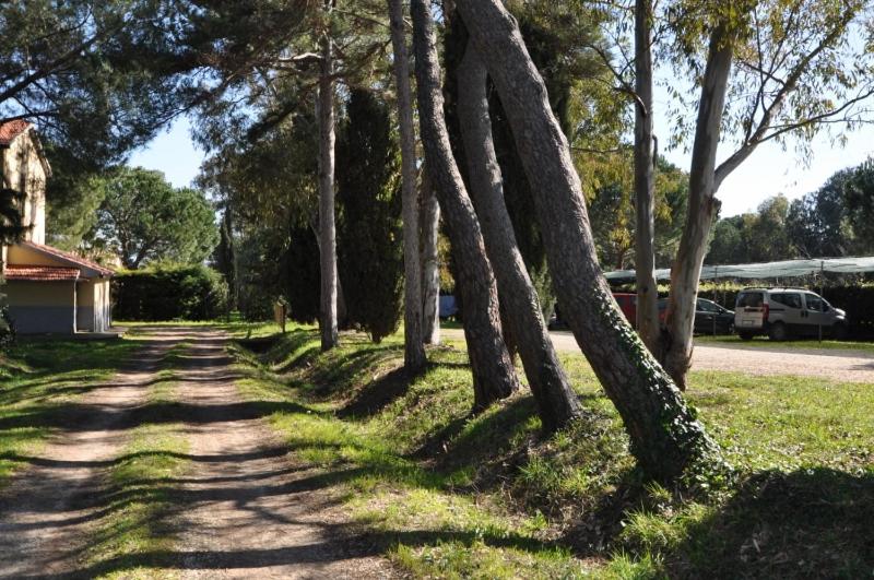 Casa vacanze Rinsacca