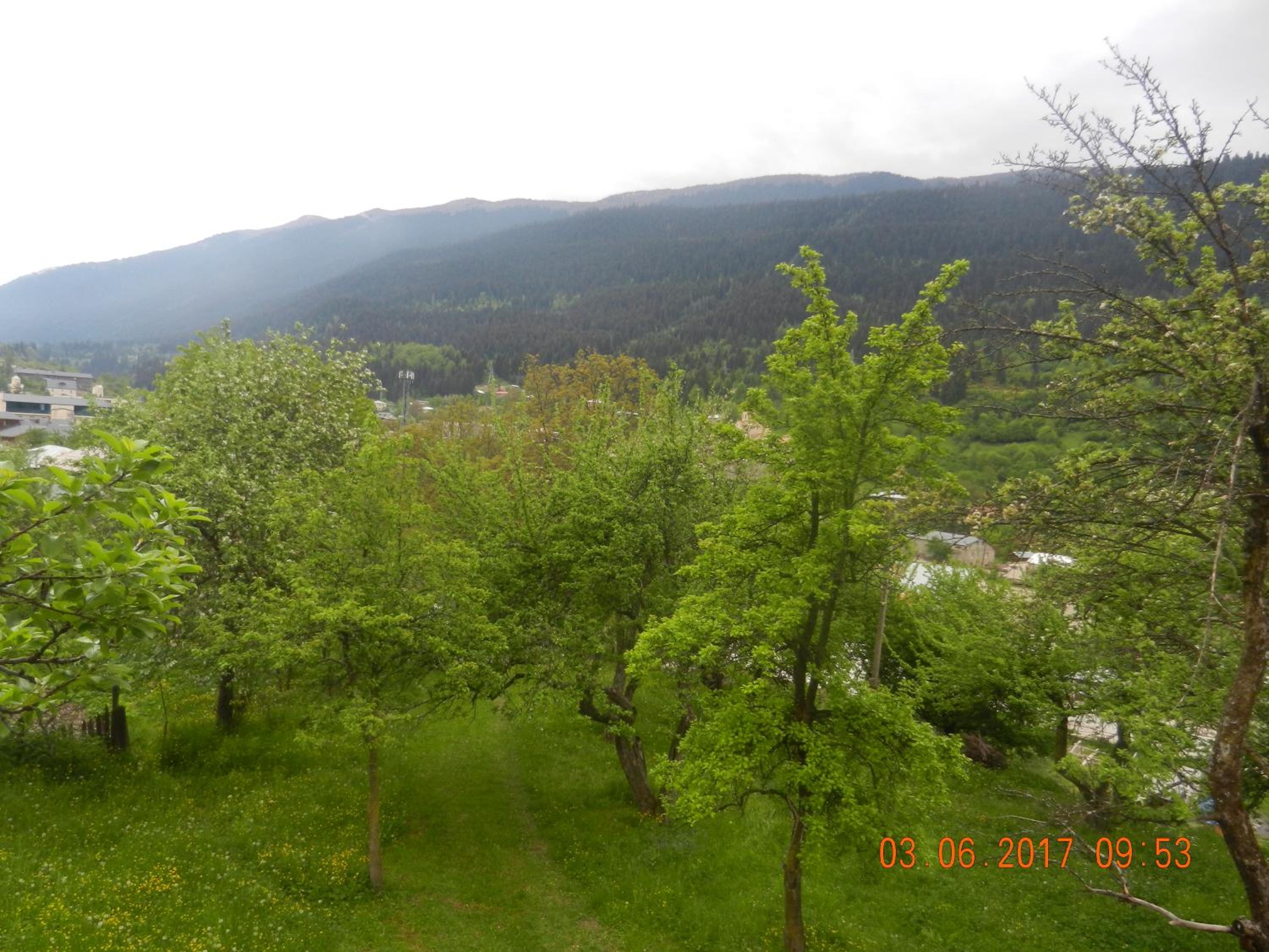 Photo 56