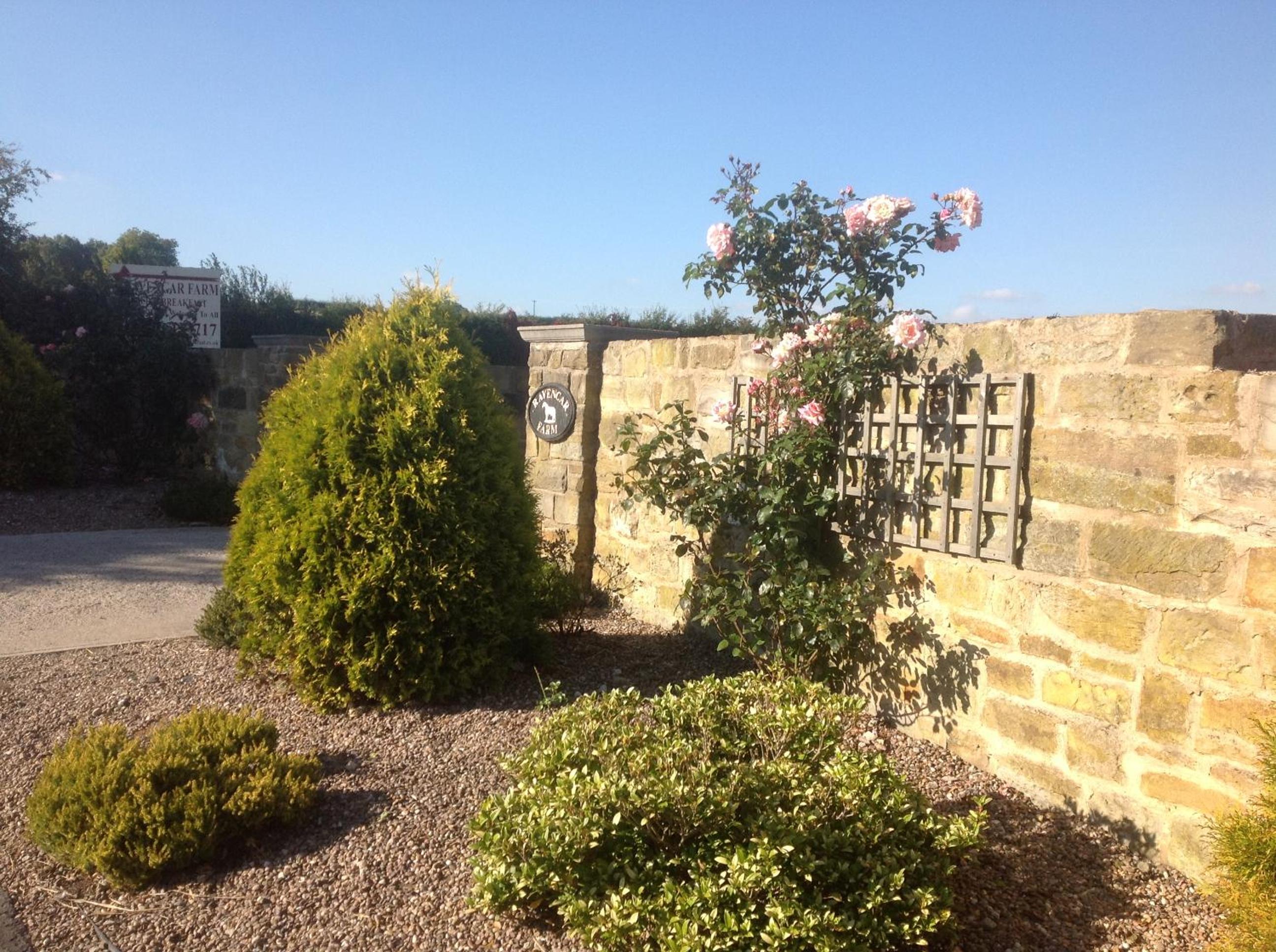 Ravencar Farm B&B