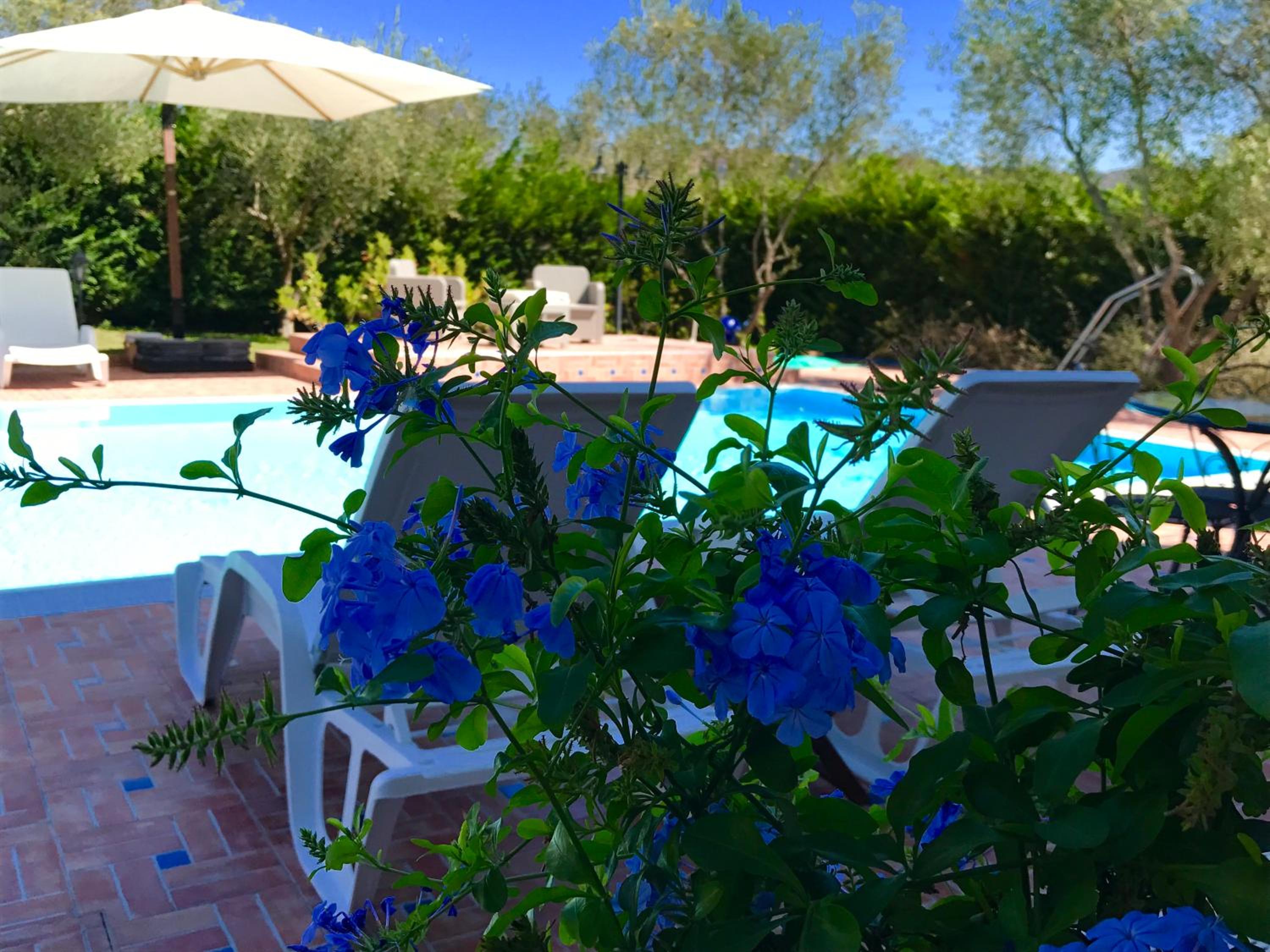Casa Vacanze Il Cenito