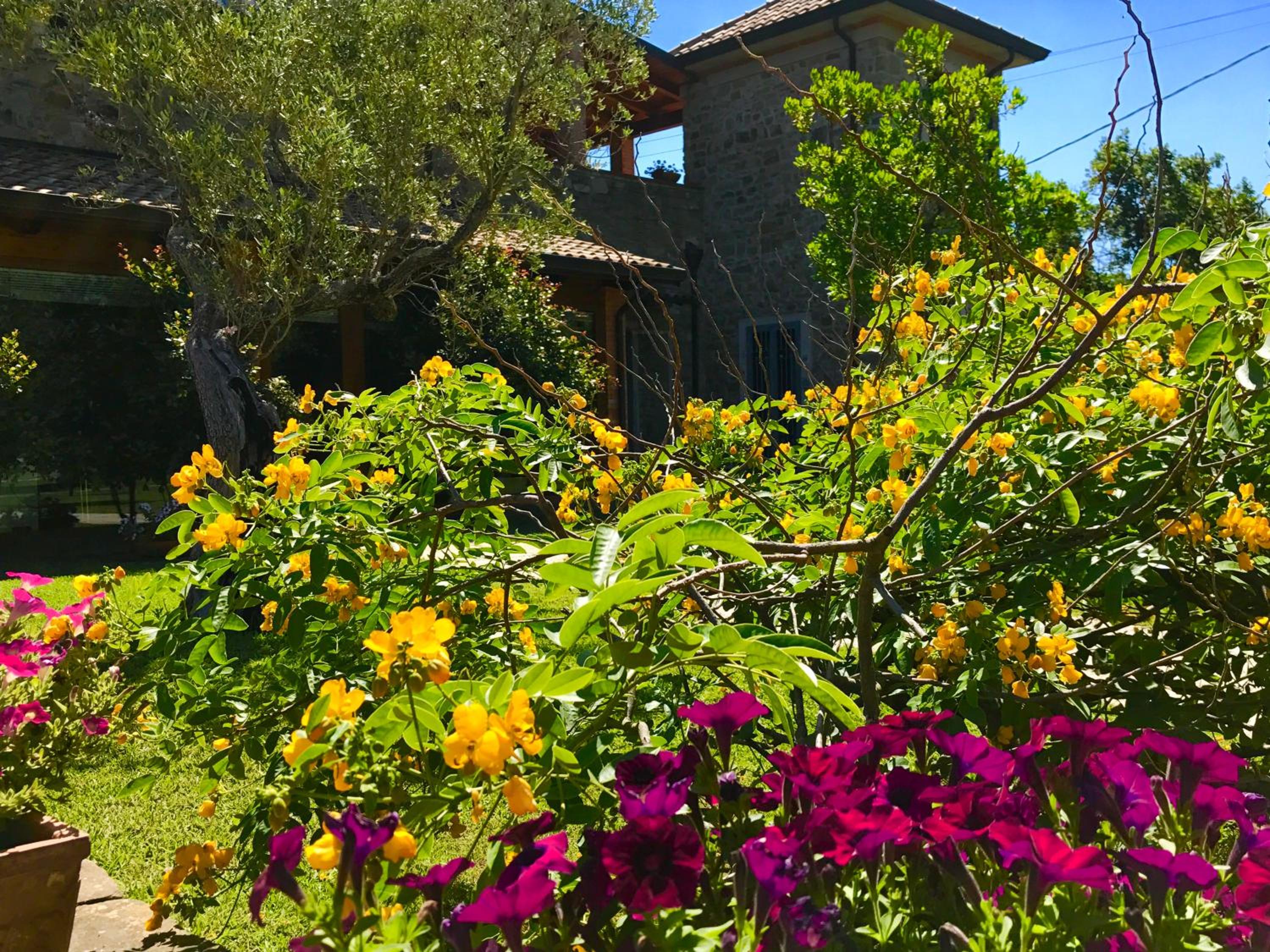 Casa Vacanze Il Cenito