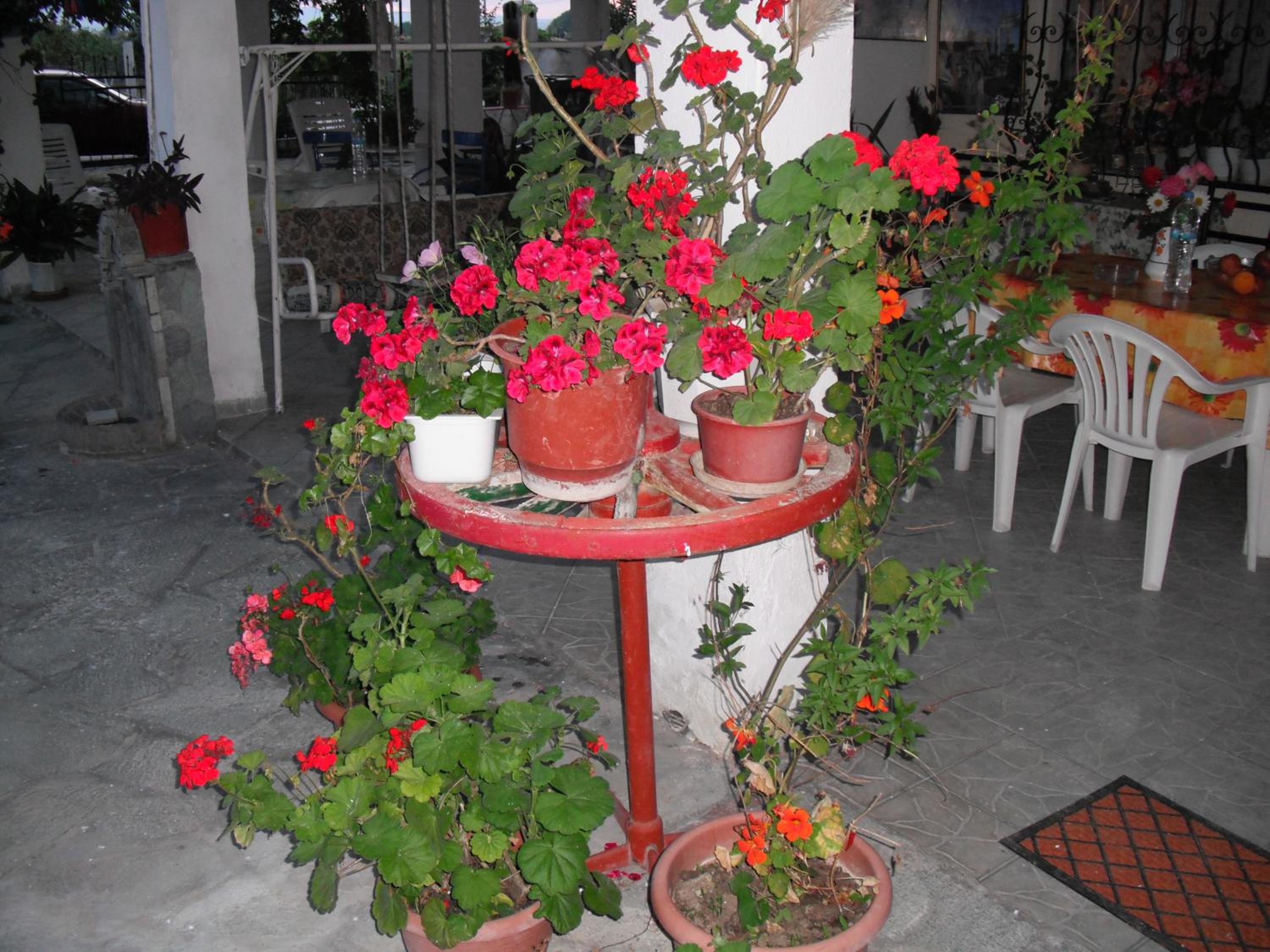 Photo 24