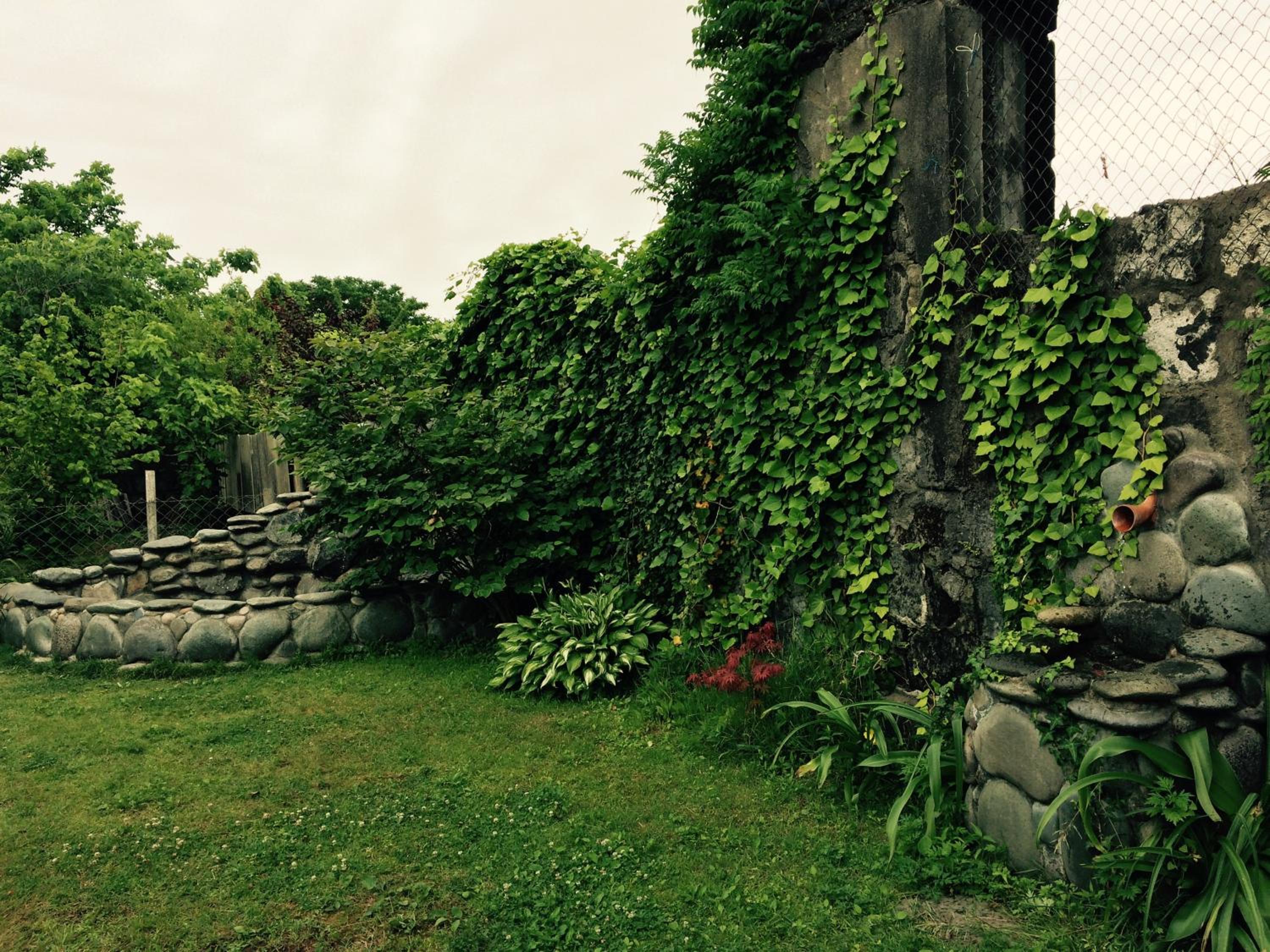 Photo 12