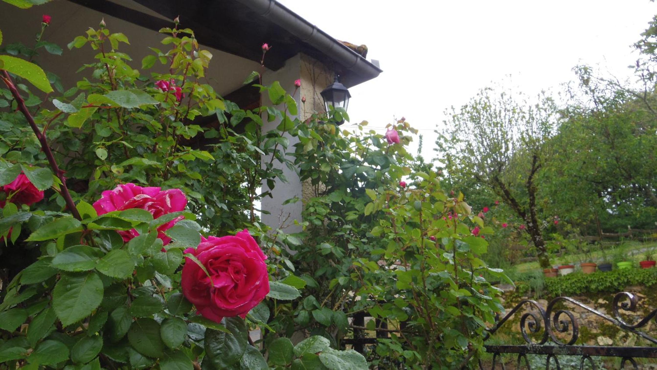 Chambre Romantique
