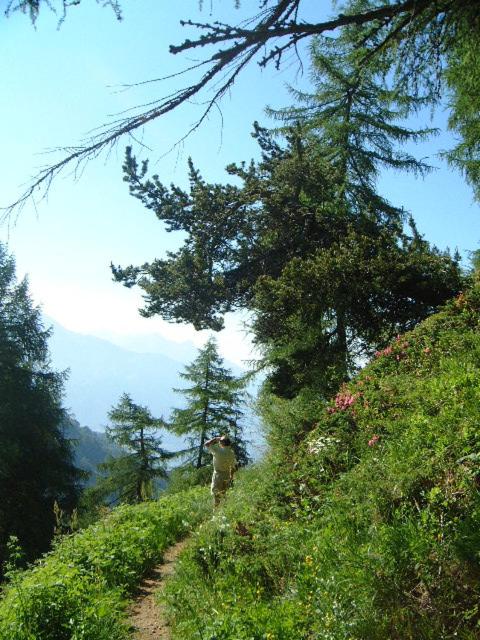 Photo 30