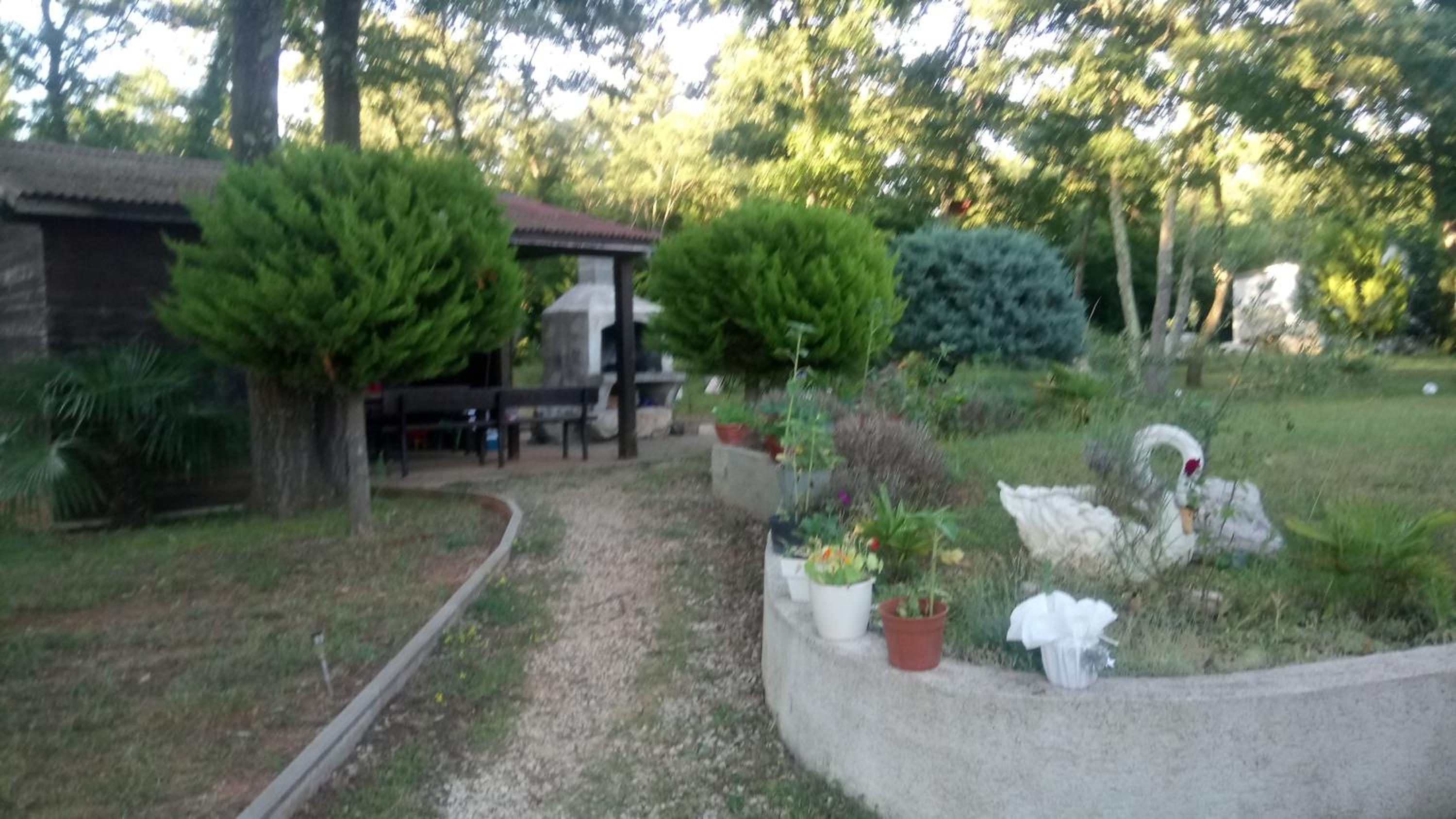 Apartment Andjel