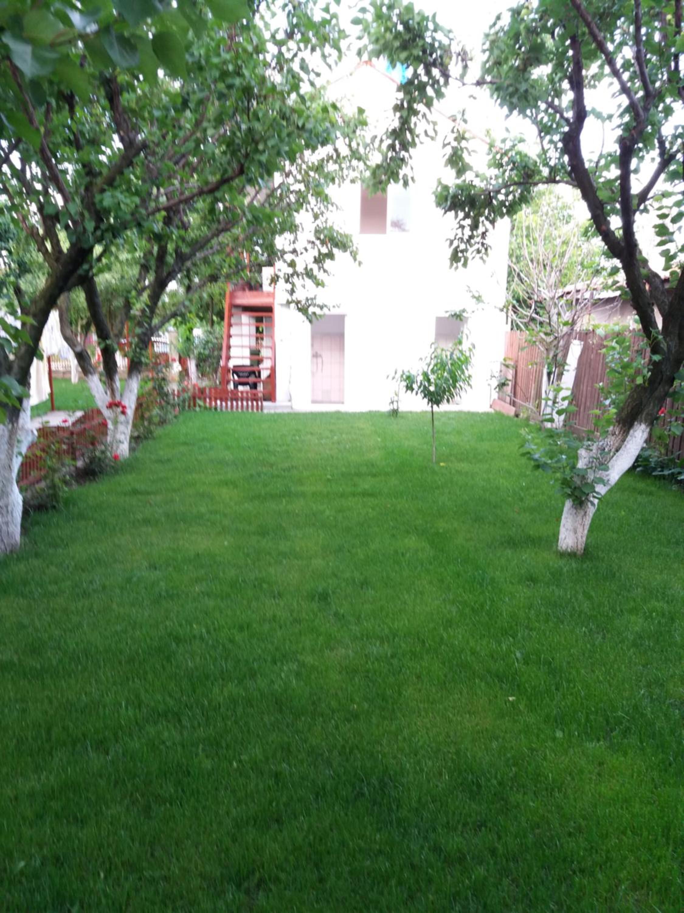 Photo 37