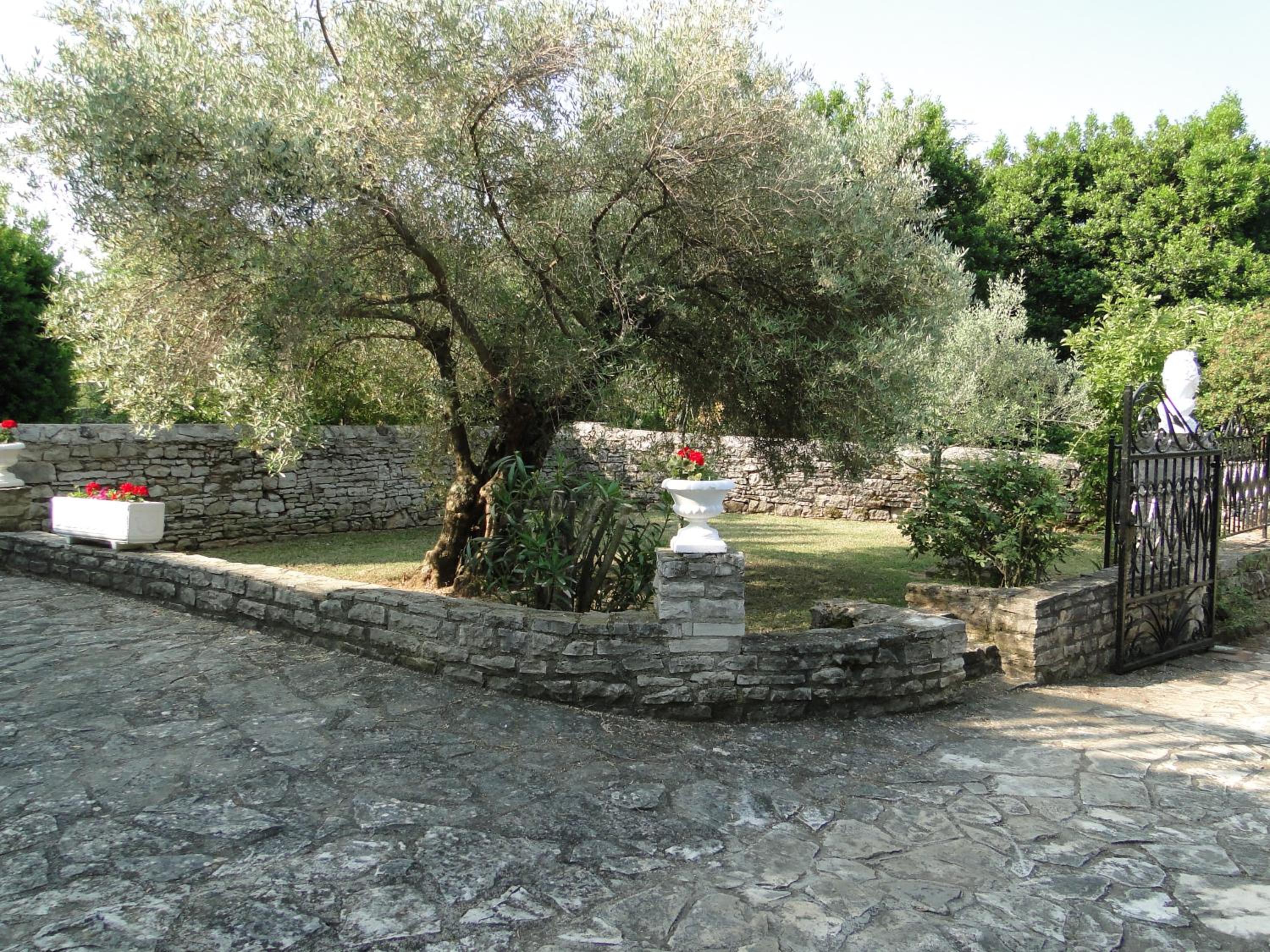 Photo 37