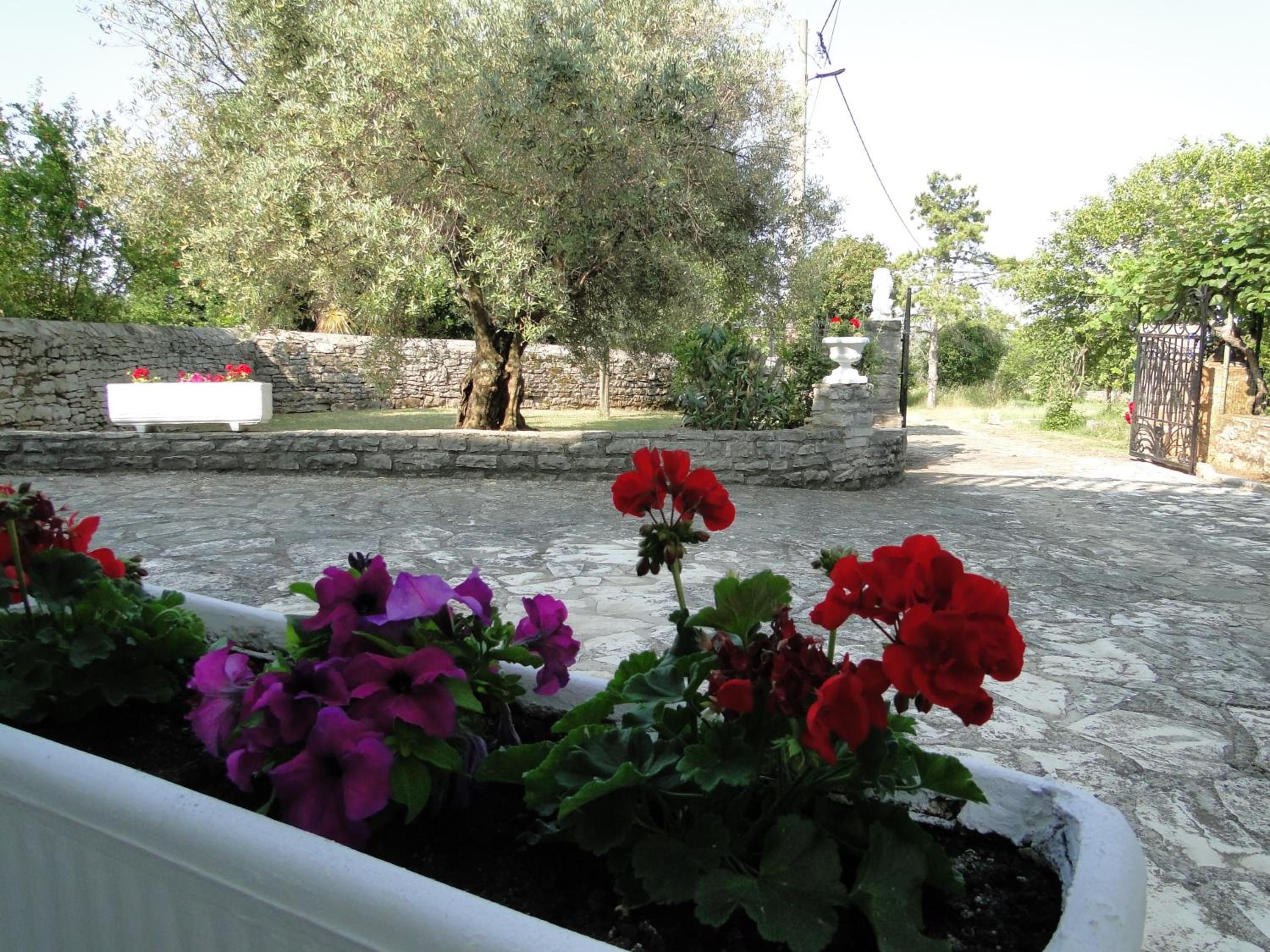 Photo 47