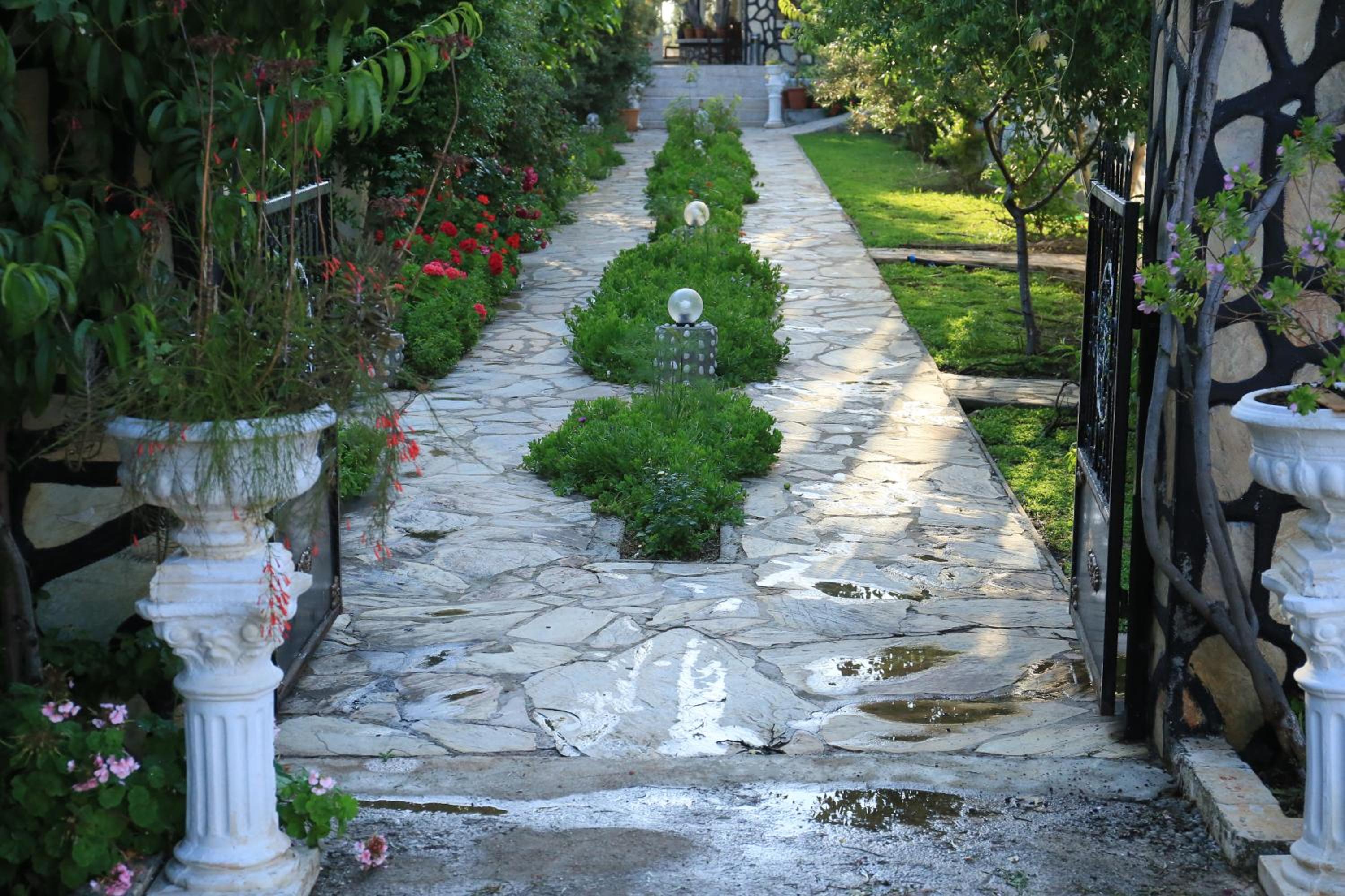 garden