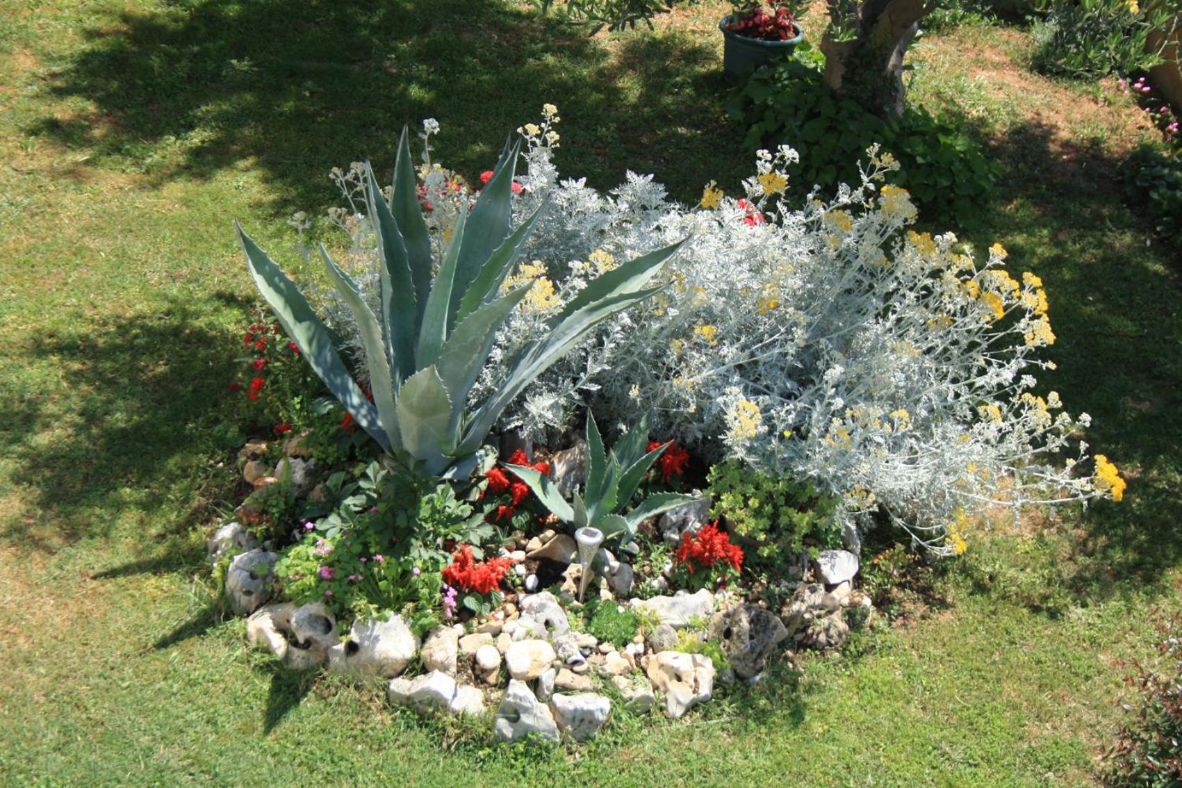 Photo 43