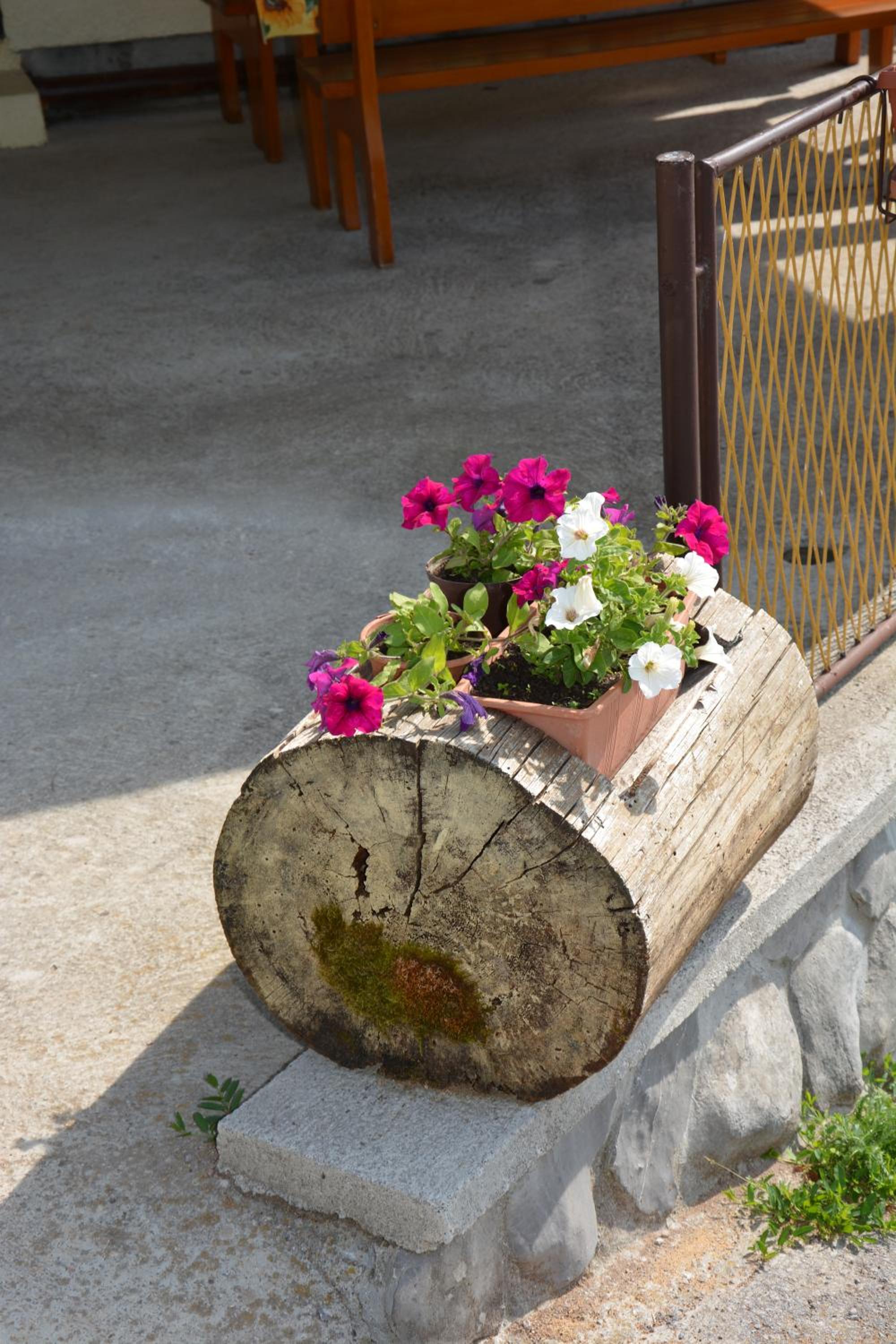 Photo 27