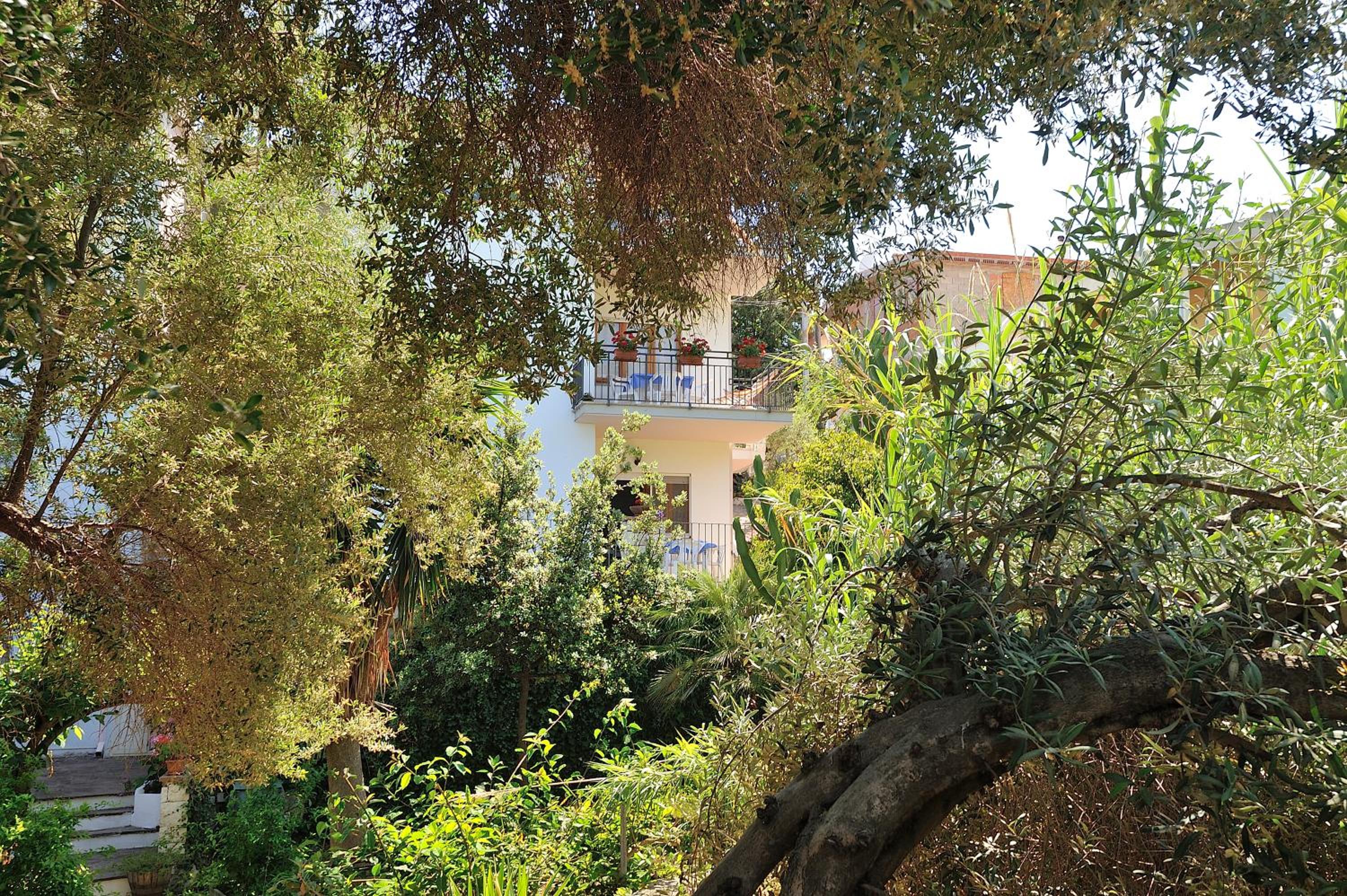 Photo 46