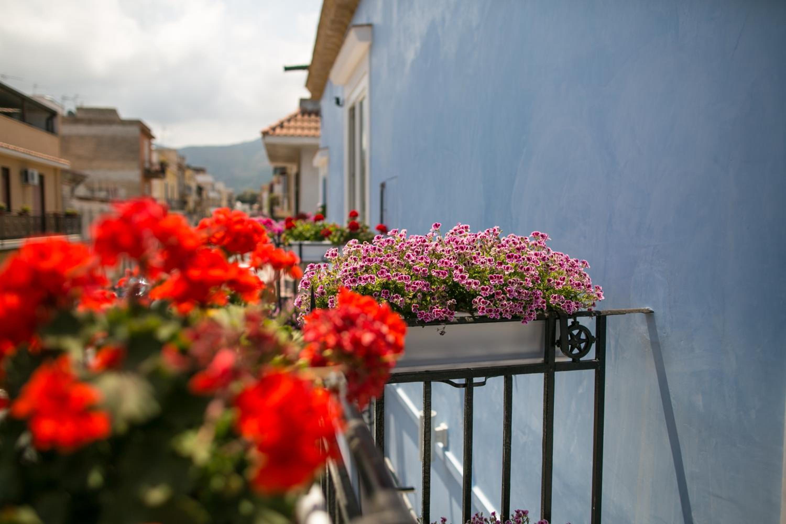 A Vucciria