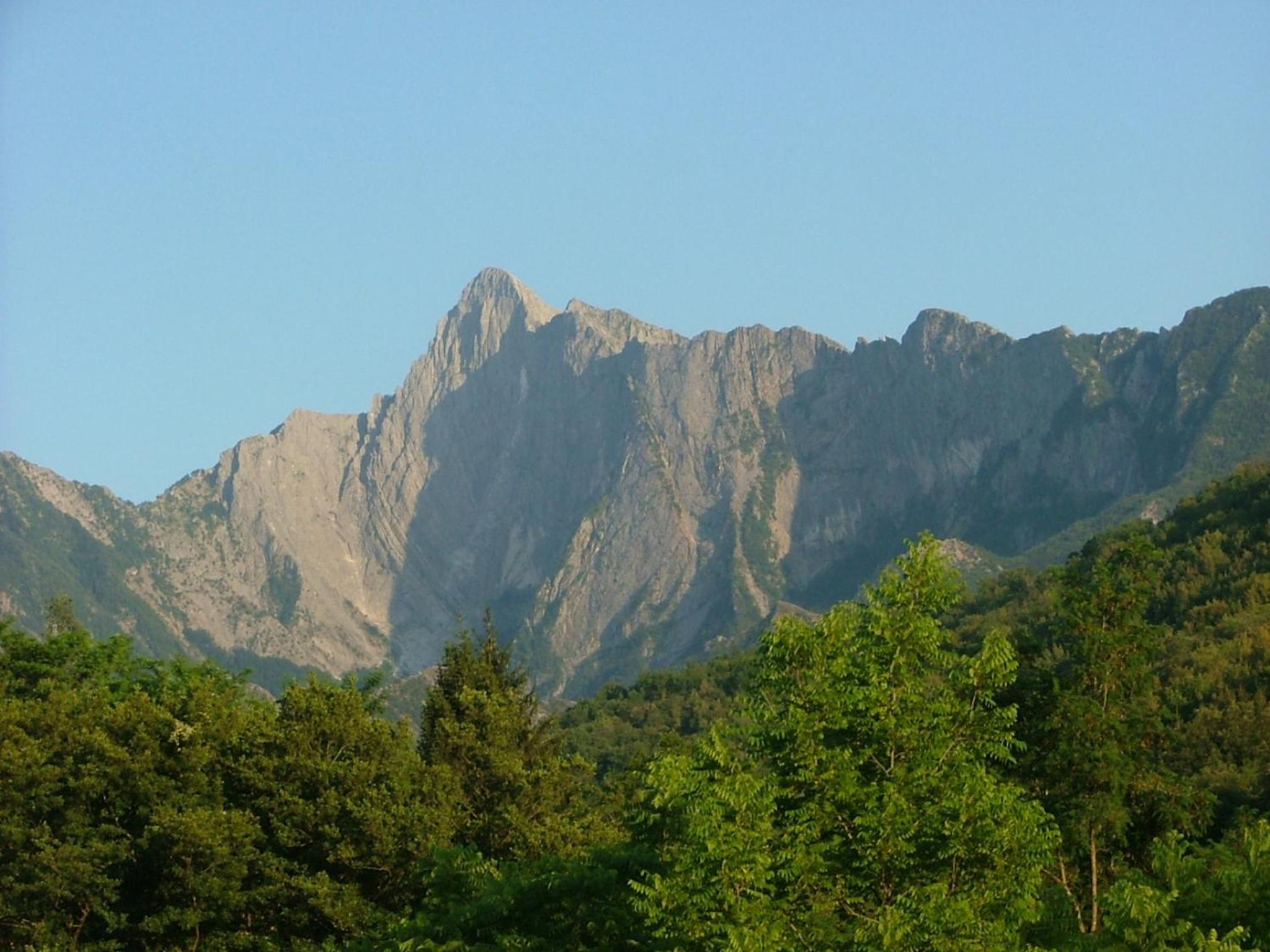 Photo 24