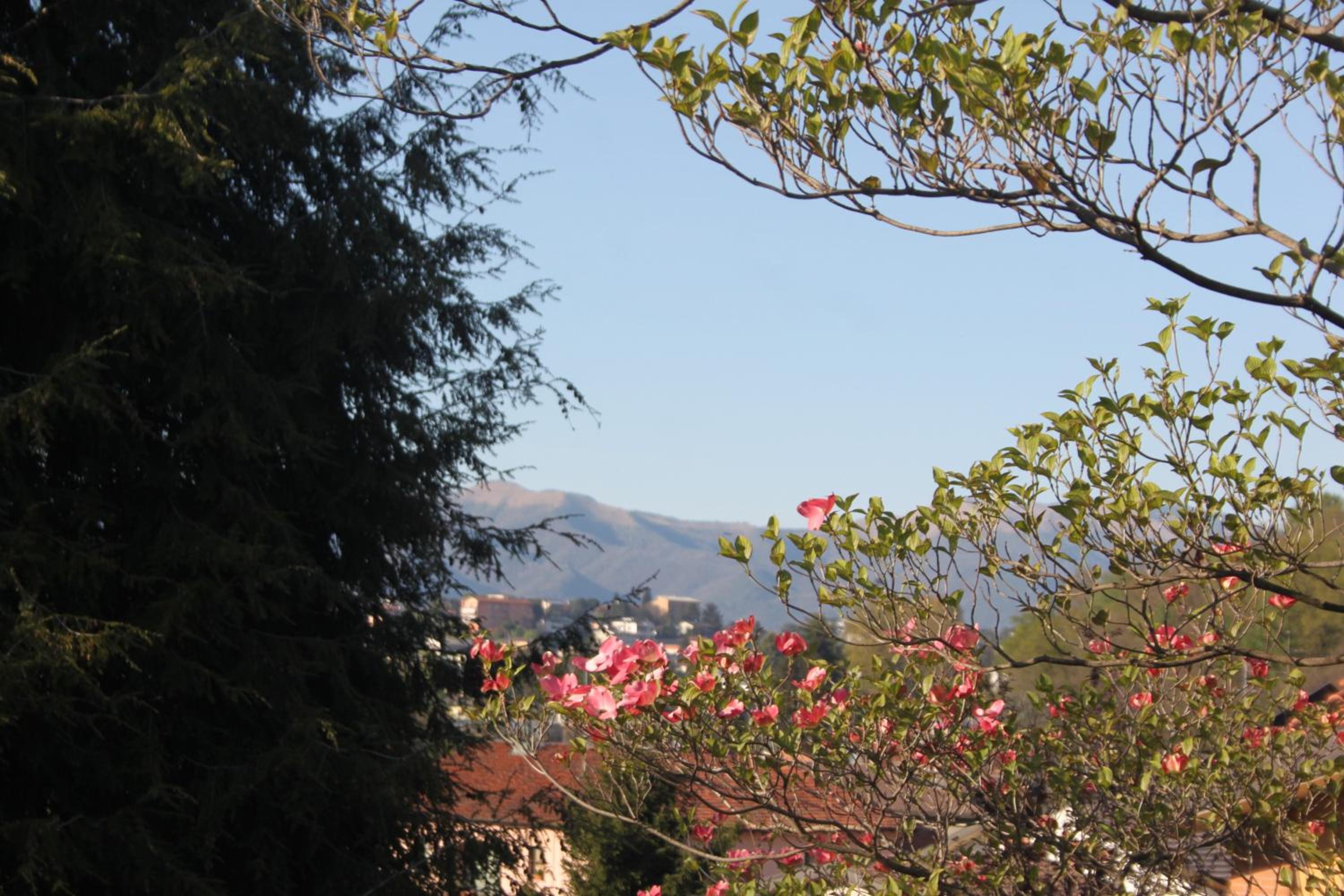 Villa Onorina