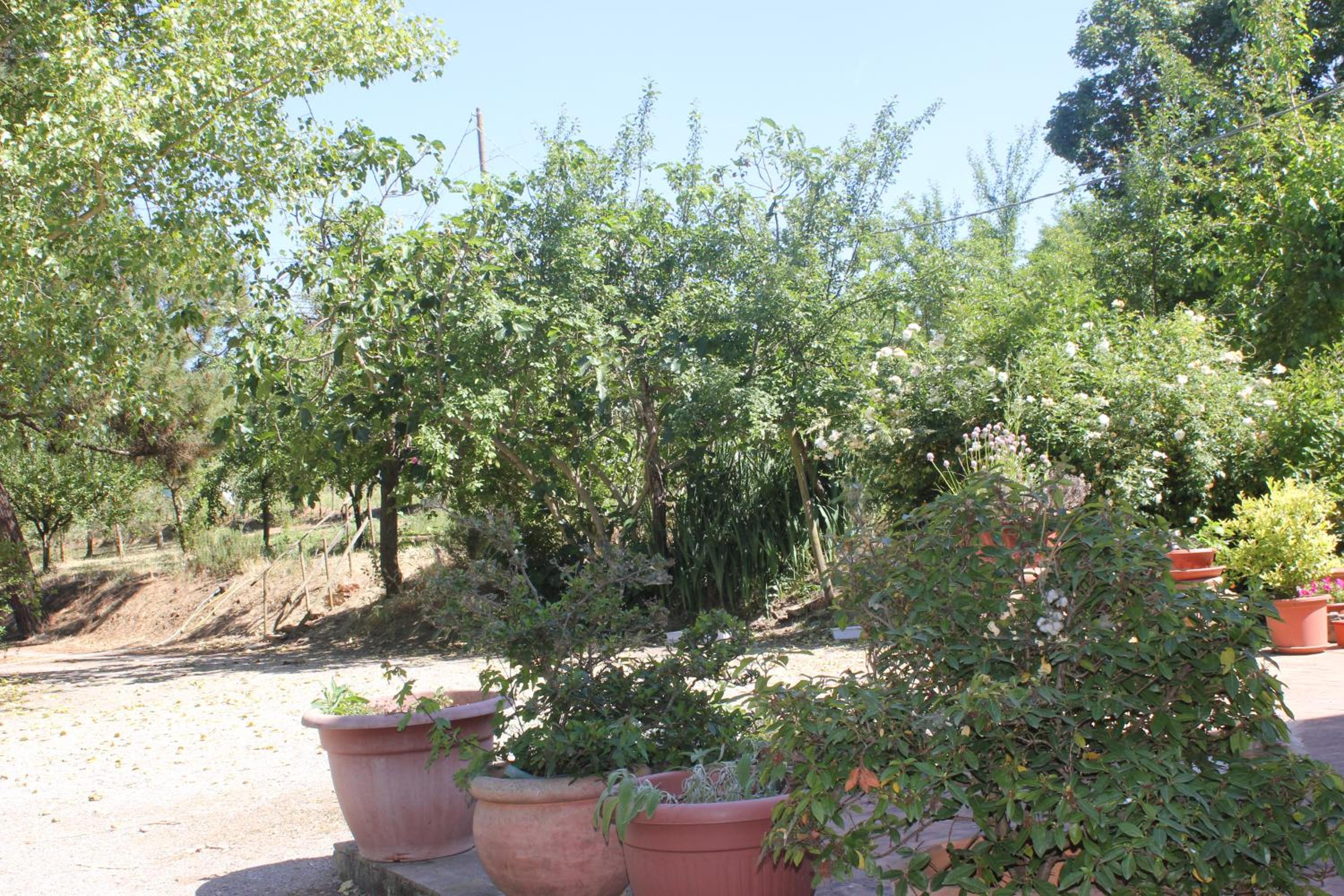 Casa Burraia view 5