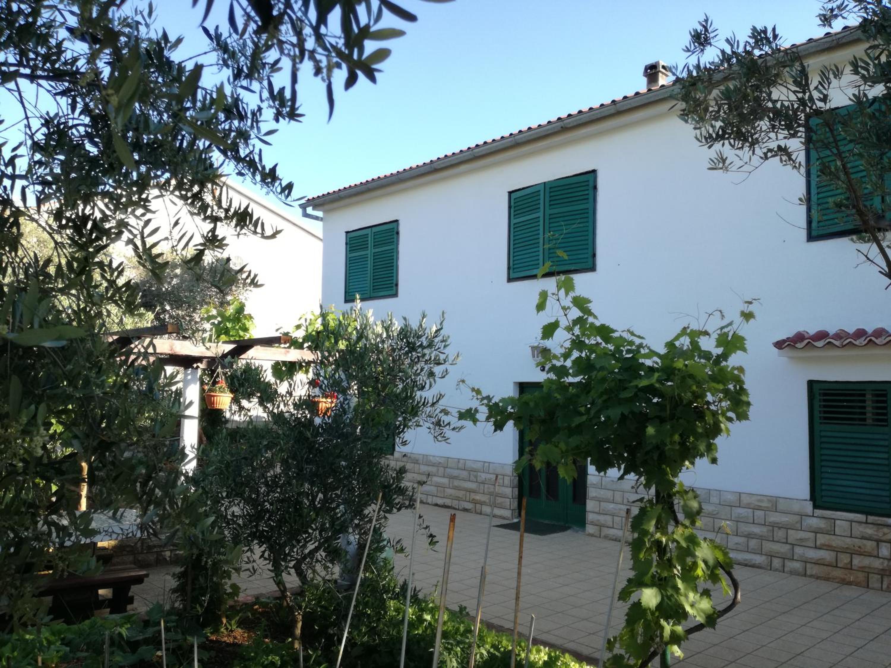 Photo 30