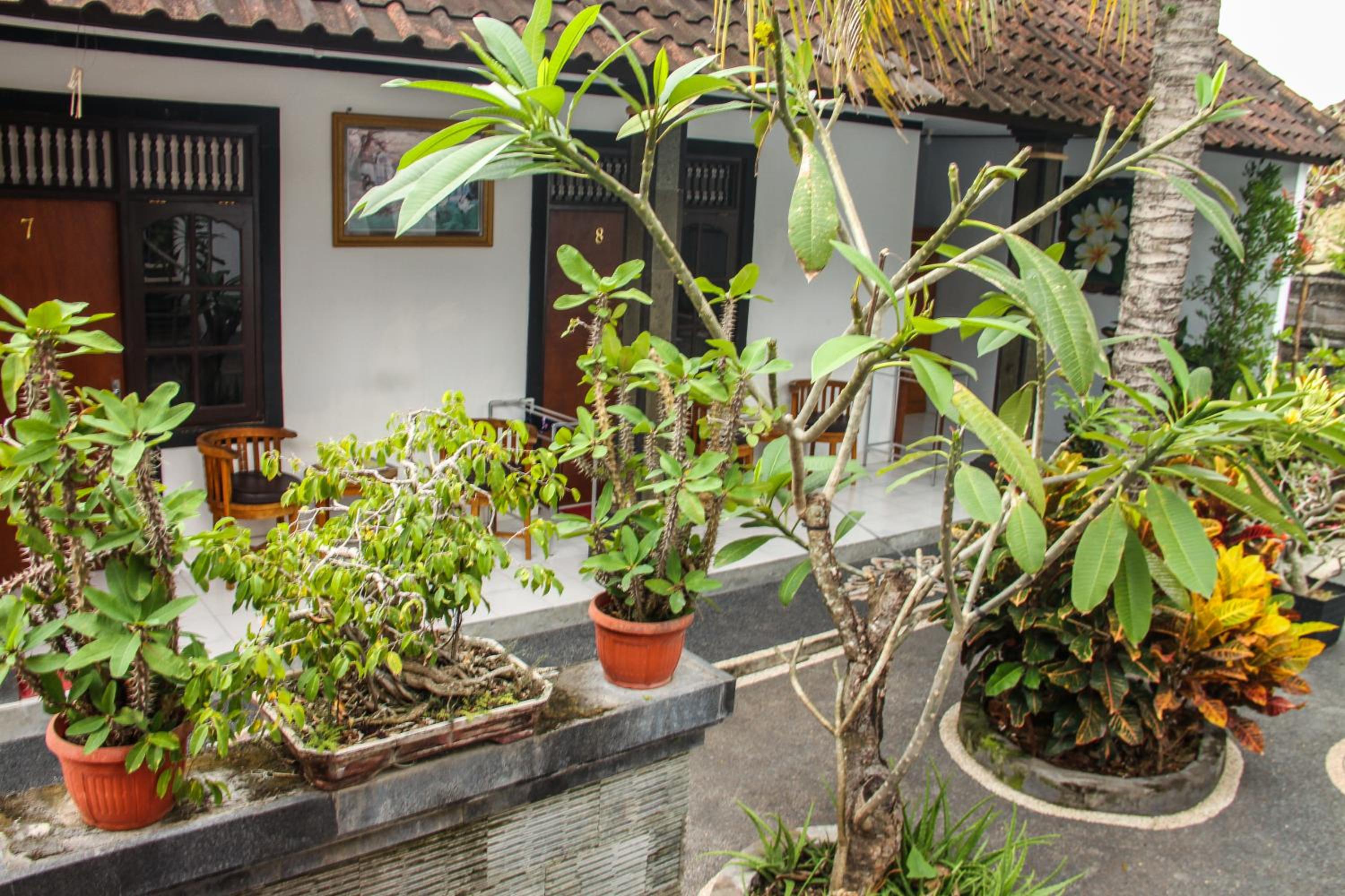 Nyoman Guesthouse Berawa Canggu