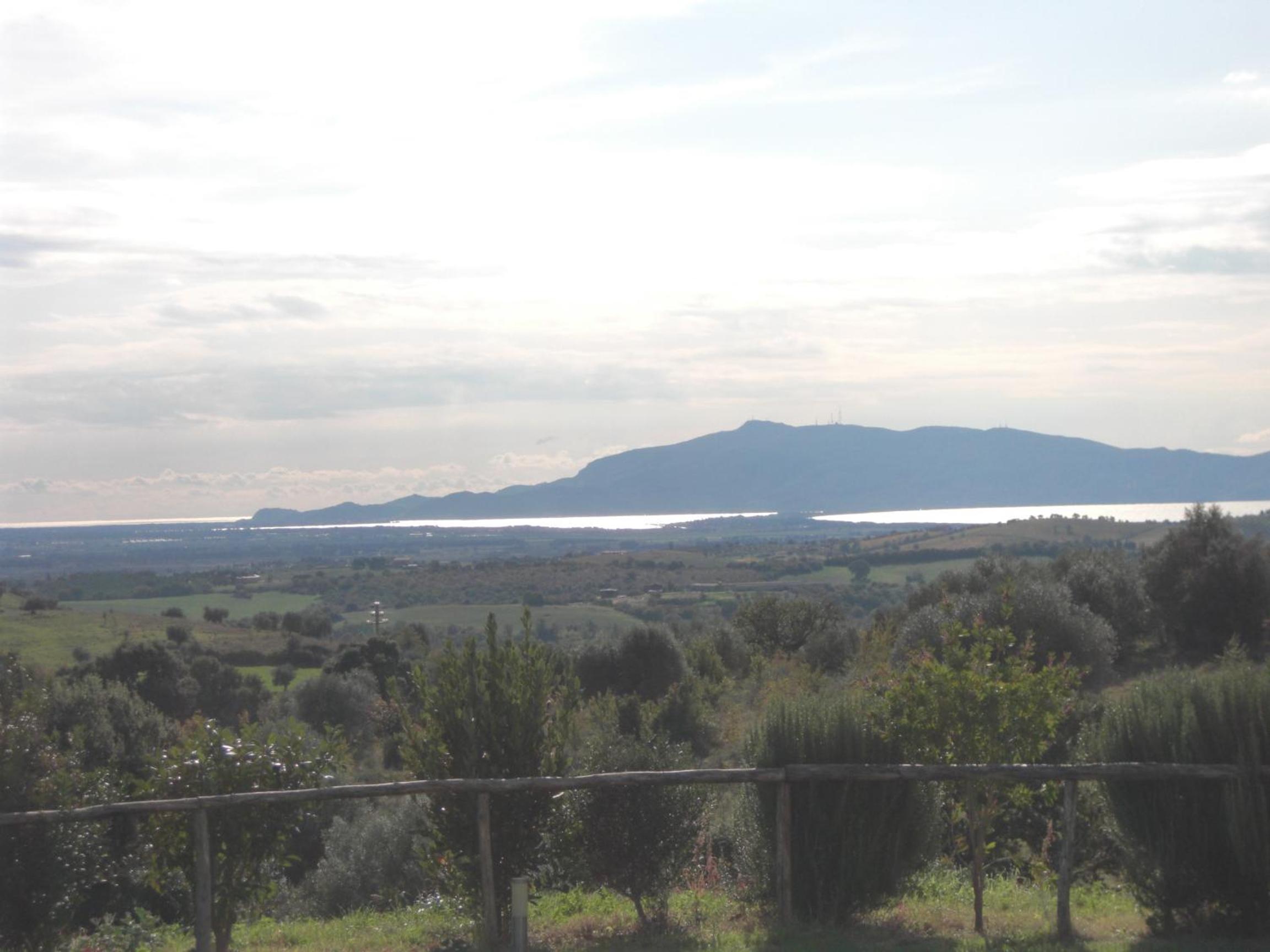 Photo 49
