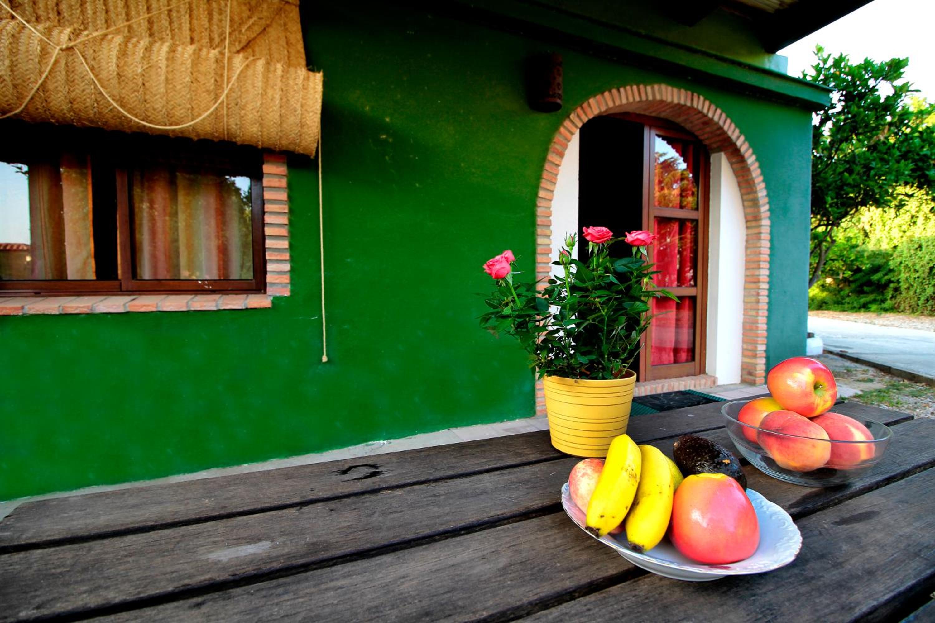 Casas el Camino view 4