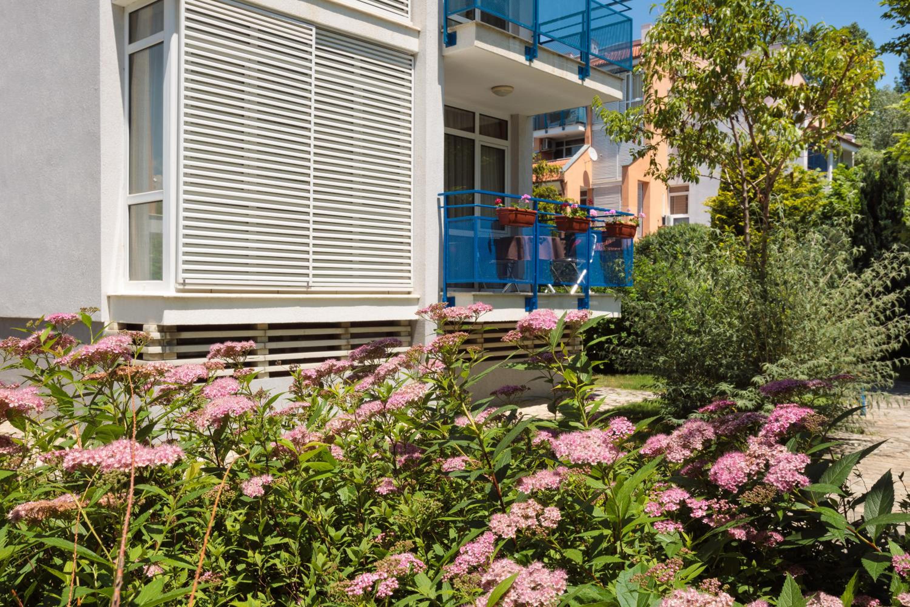 Apartment Sea Shell 2