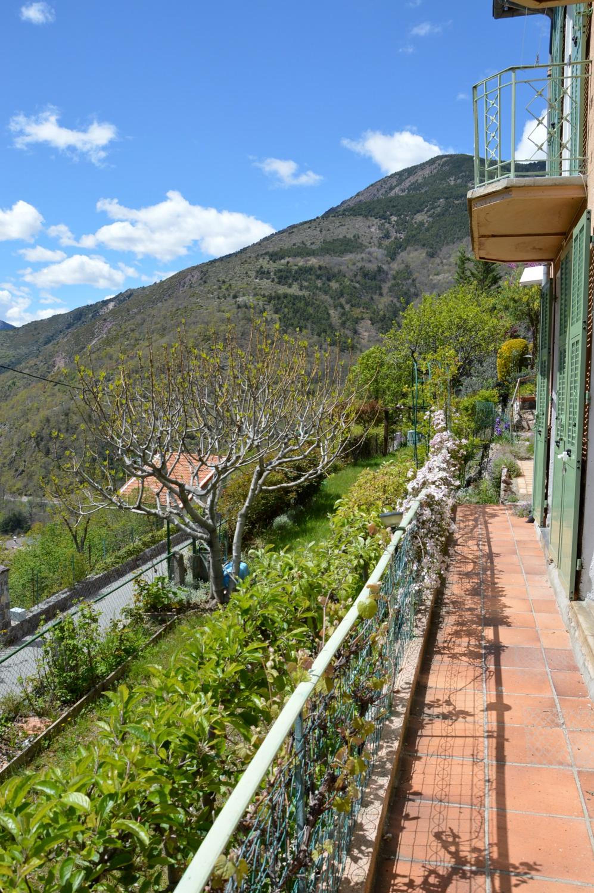 Villa Rosemarie photo 5