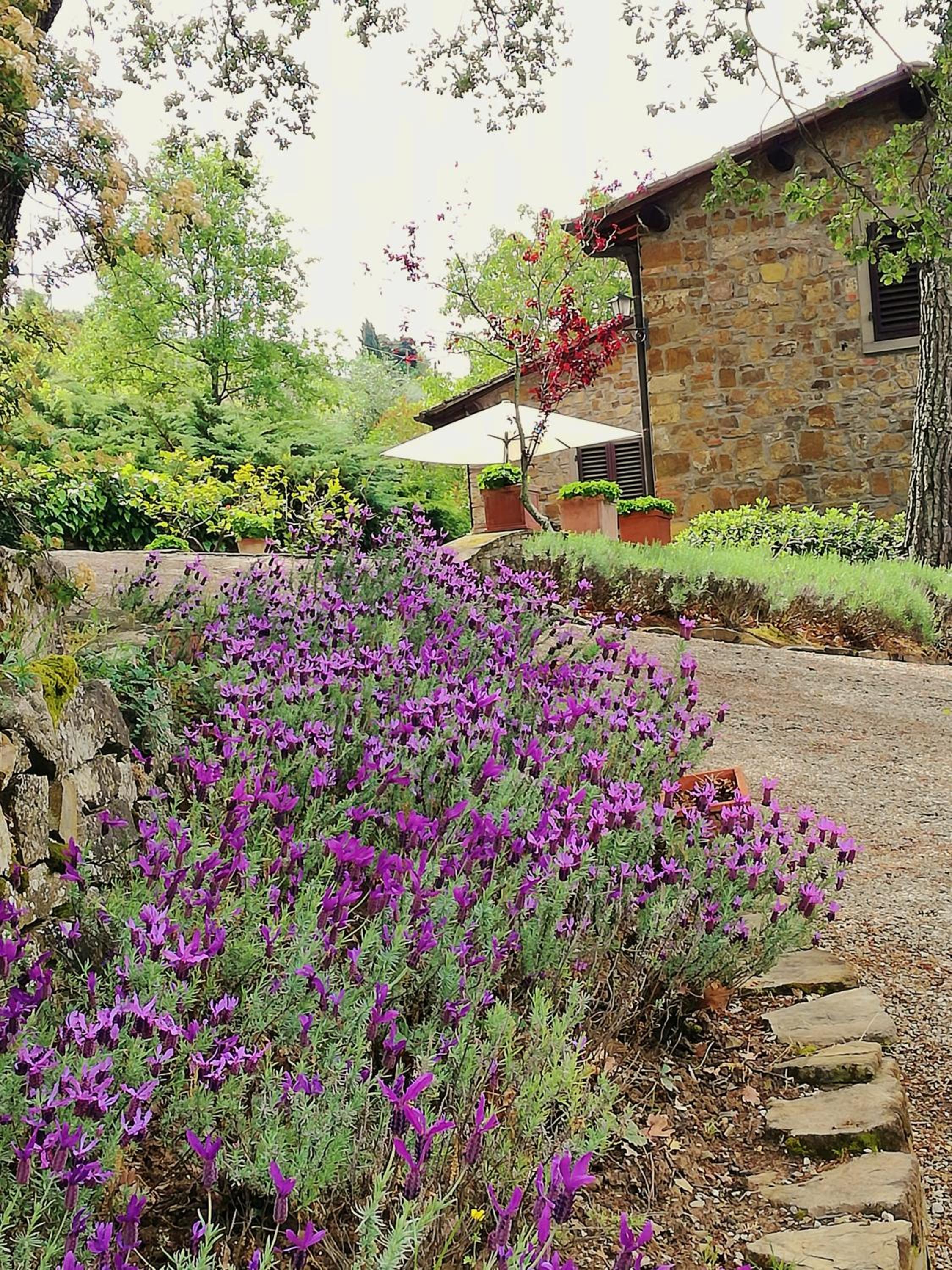 Villa Toscana Il Capiteto view 3