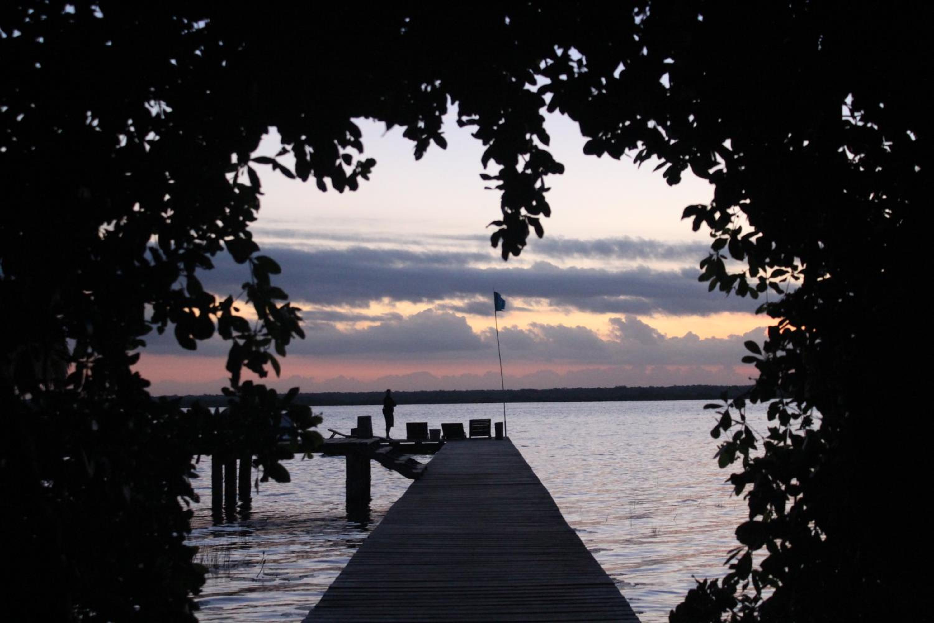 Photo 45