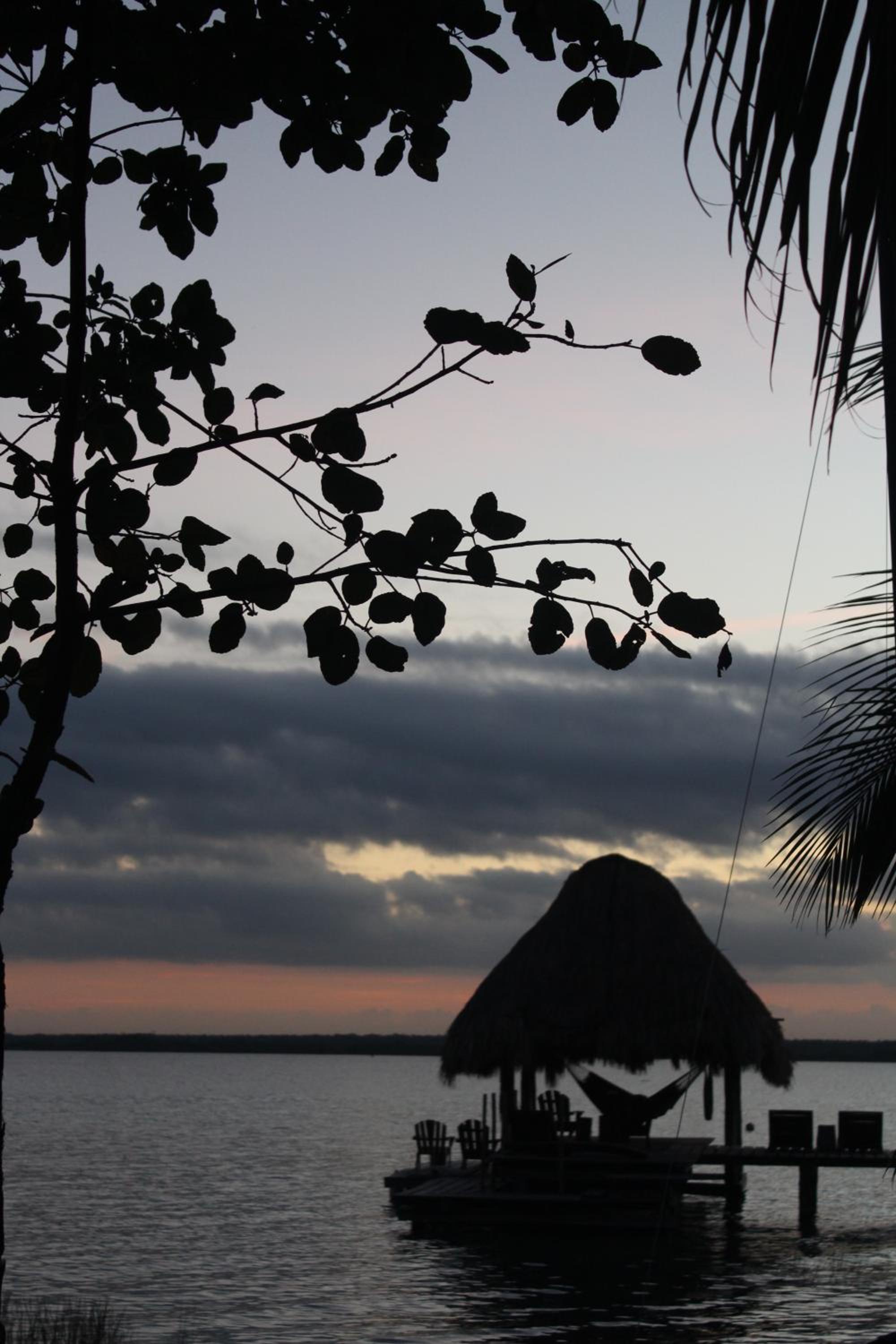 Photo 44