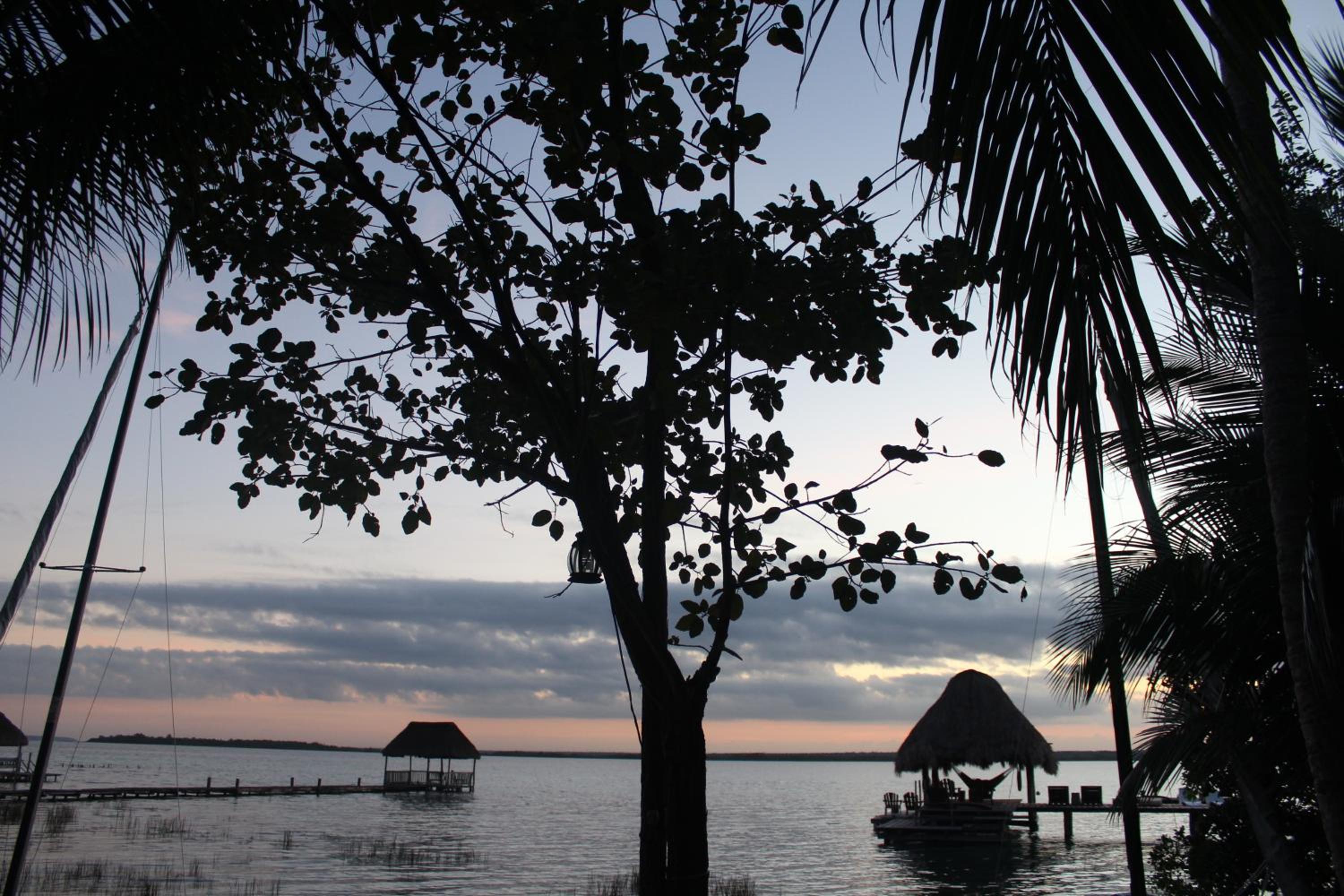 Photo 42
