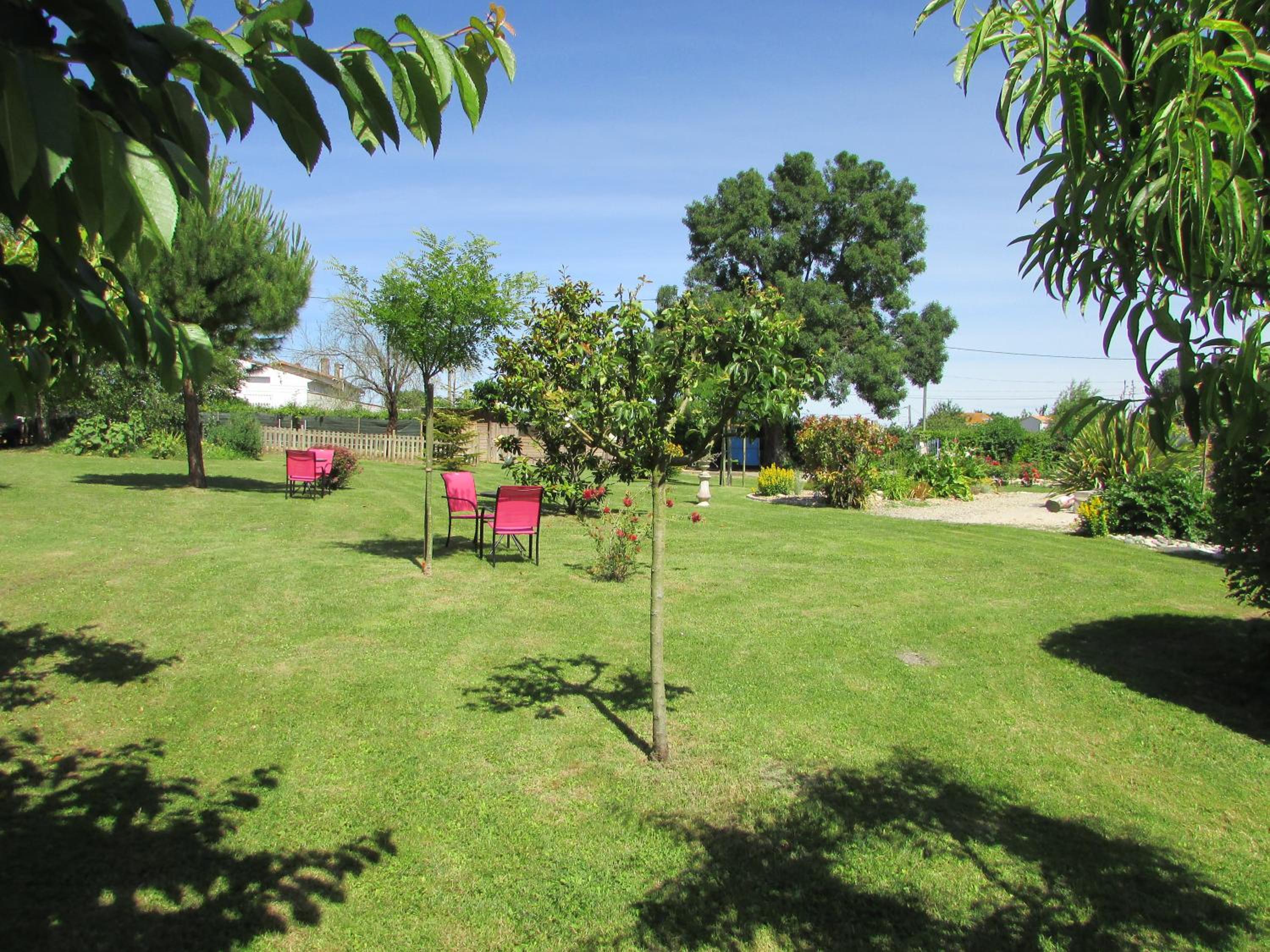 Photo 23