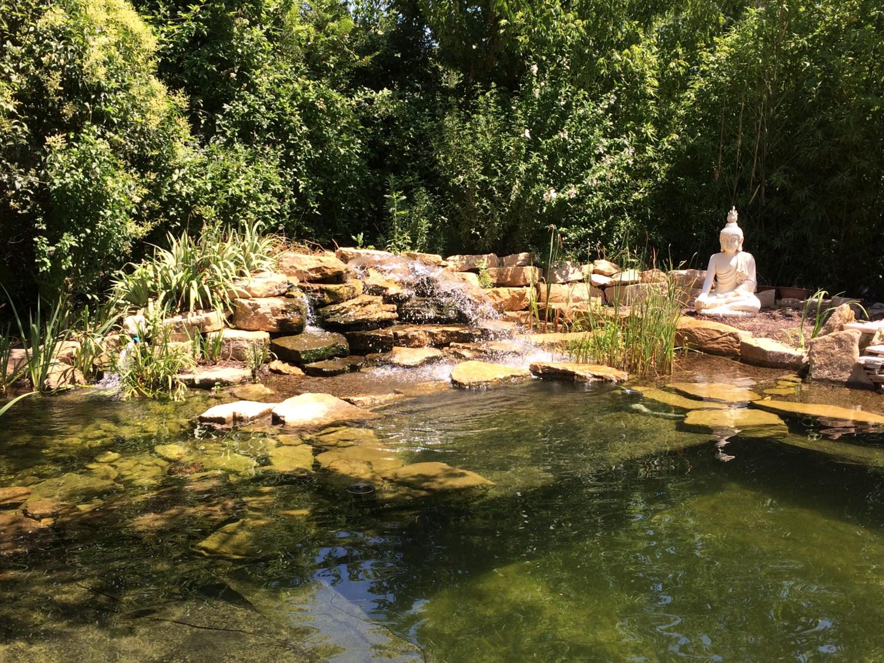 Photo 14