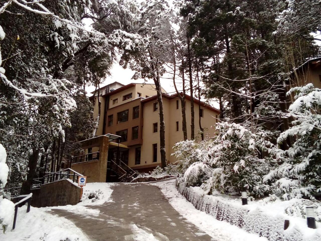 Hotel Boutique Hotel & Spa Bosque del Nahuel