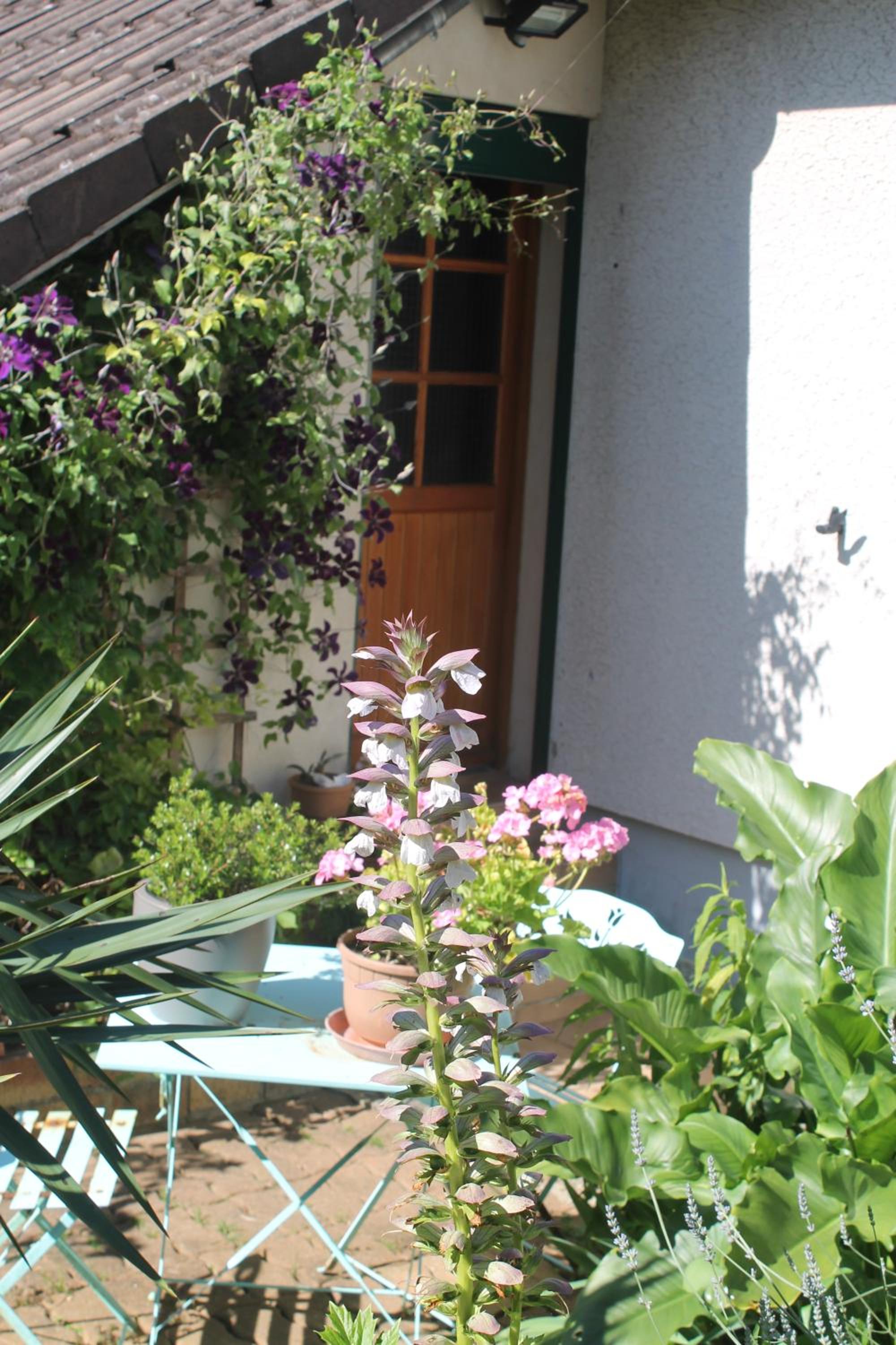 Photo 6
