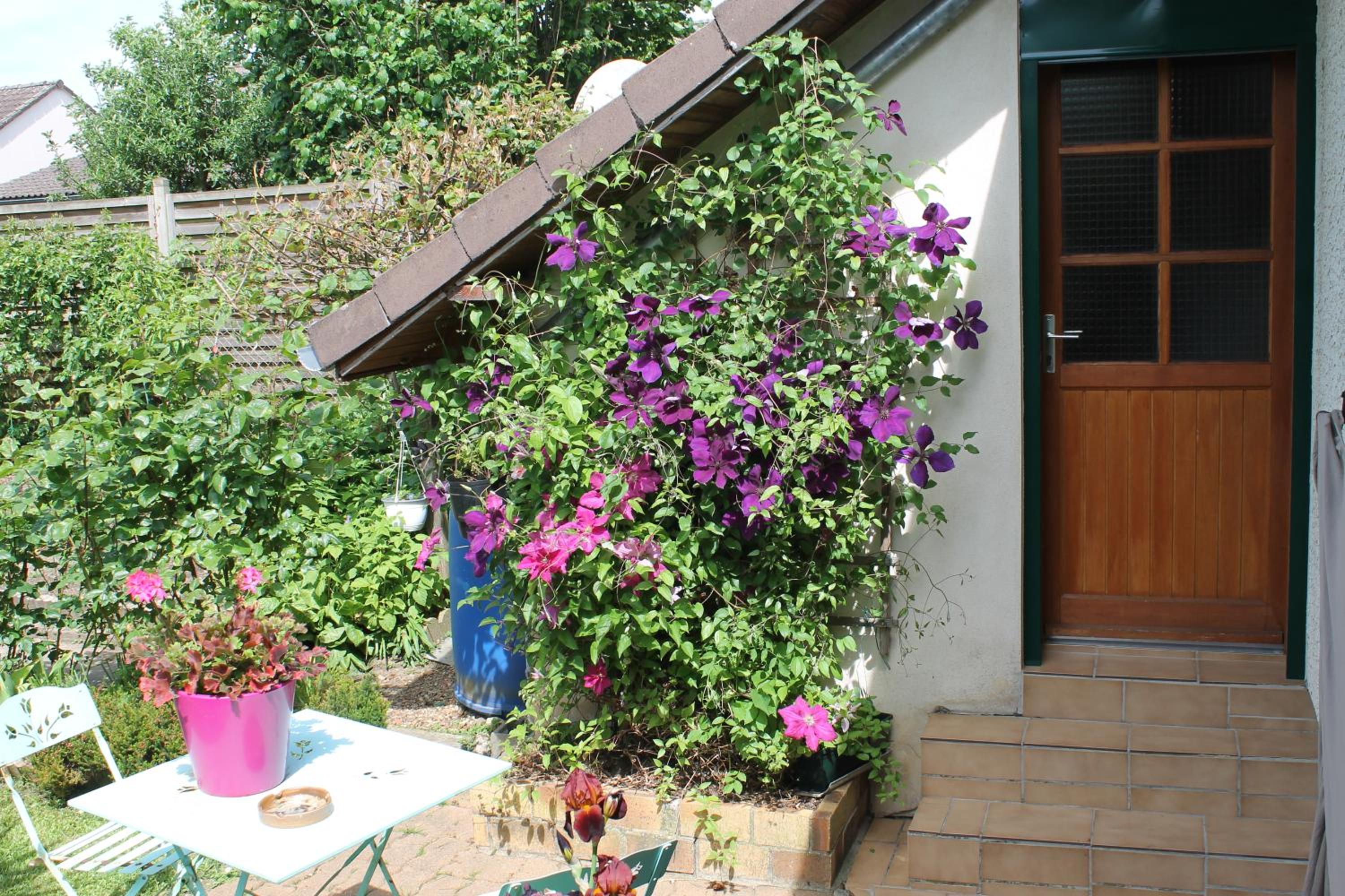 Chambre d'Hôtes "Orchidees" view 5