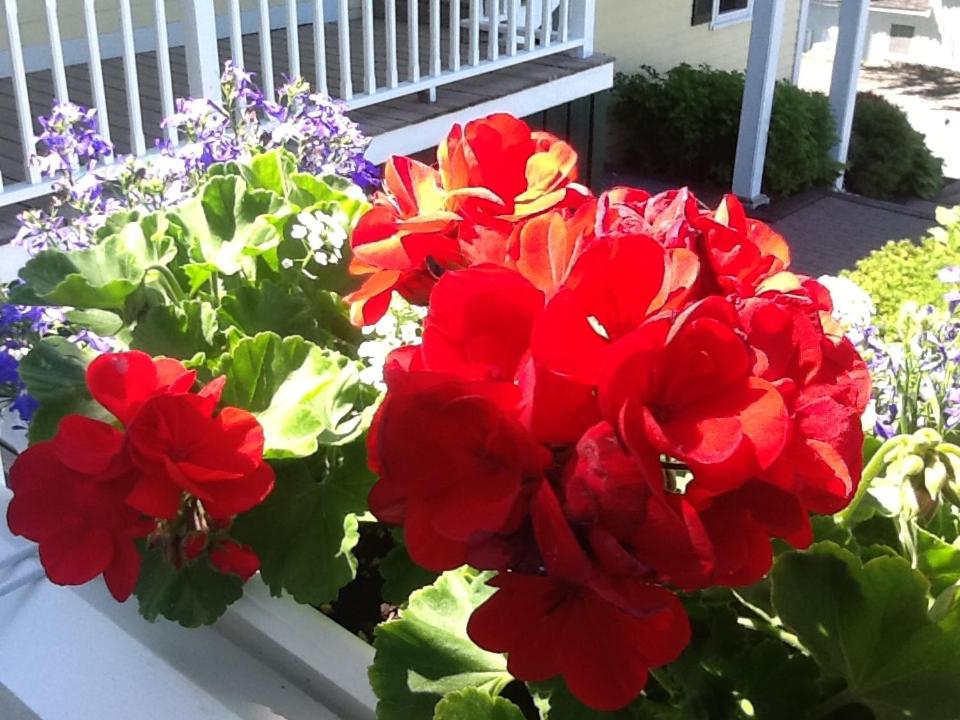 Harbor House Inn
