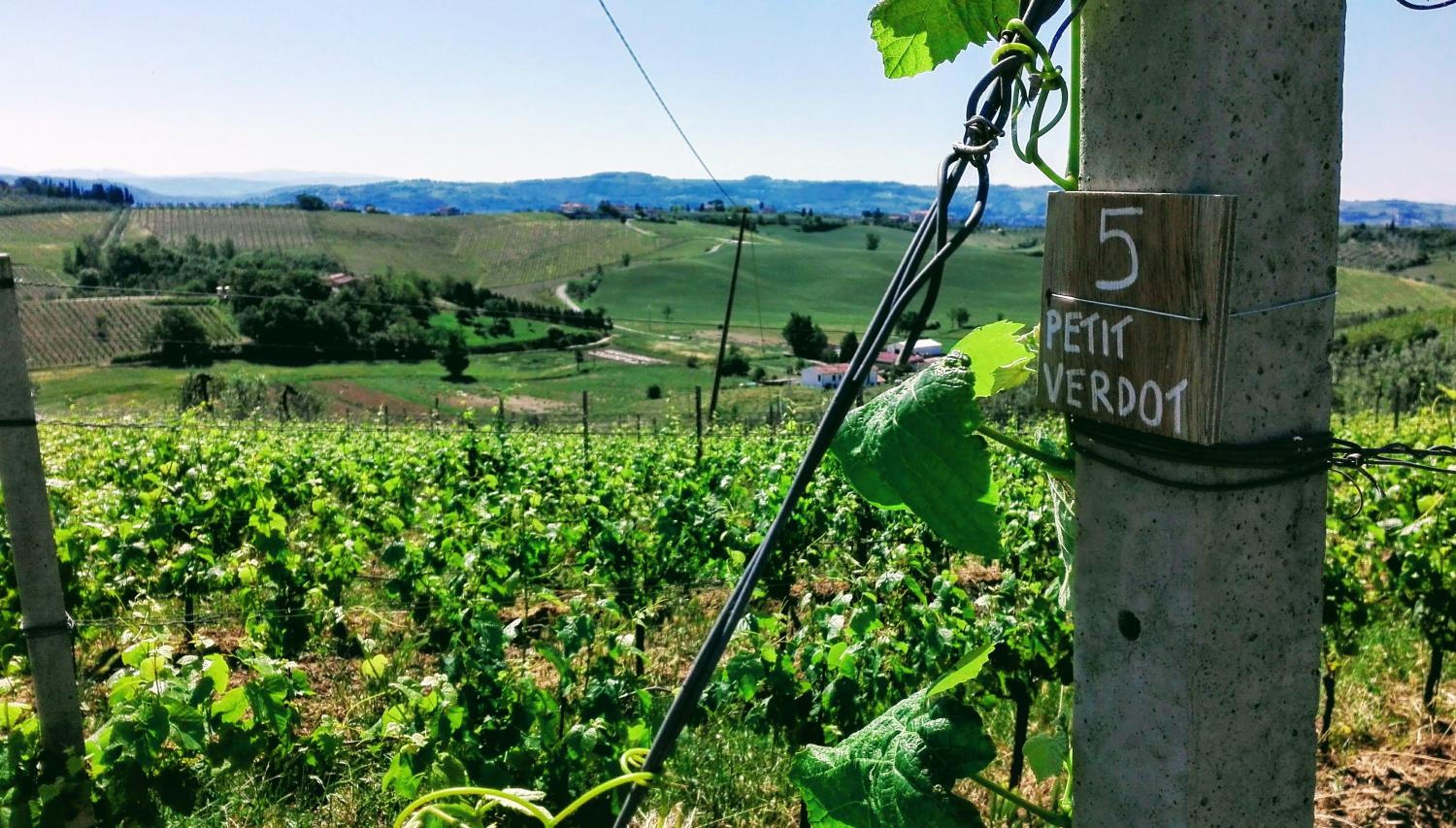 Agriturismo Luggiano