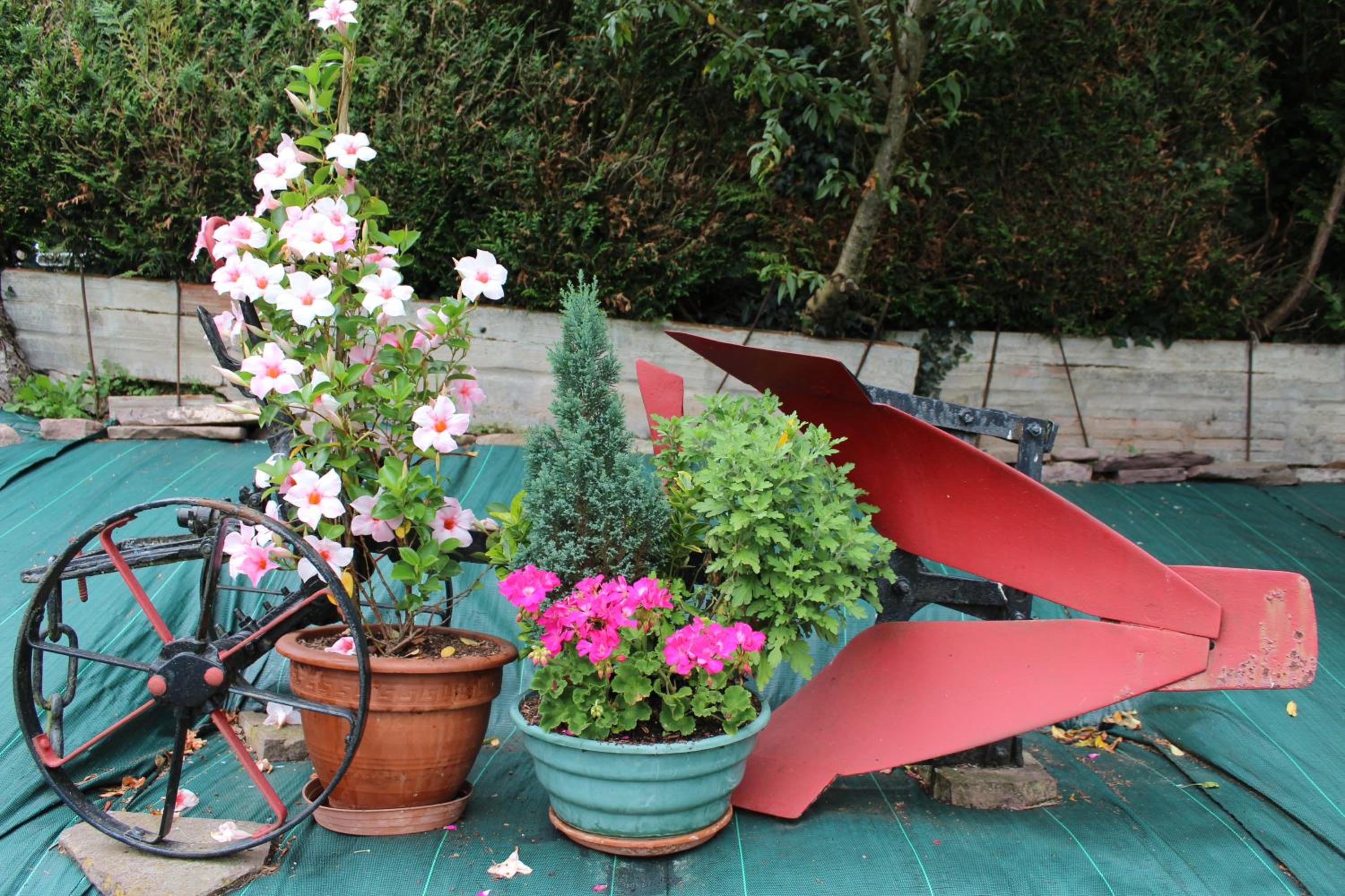 Photo 7