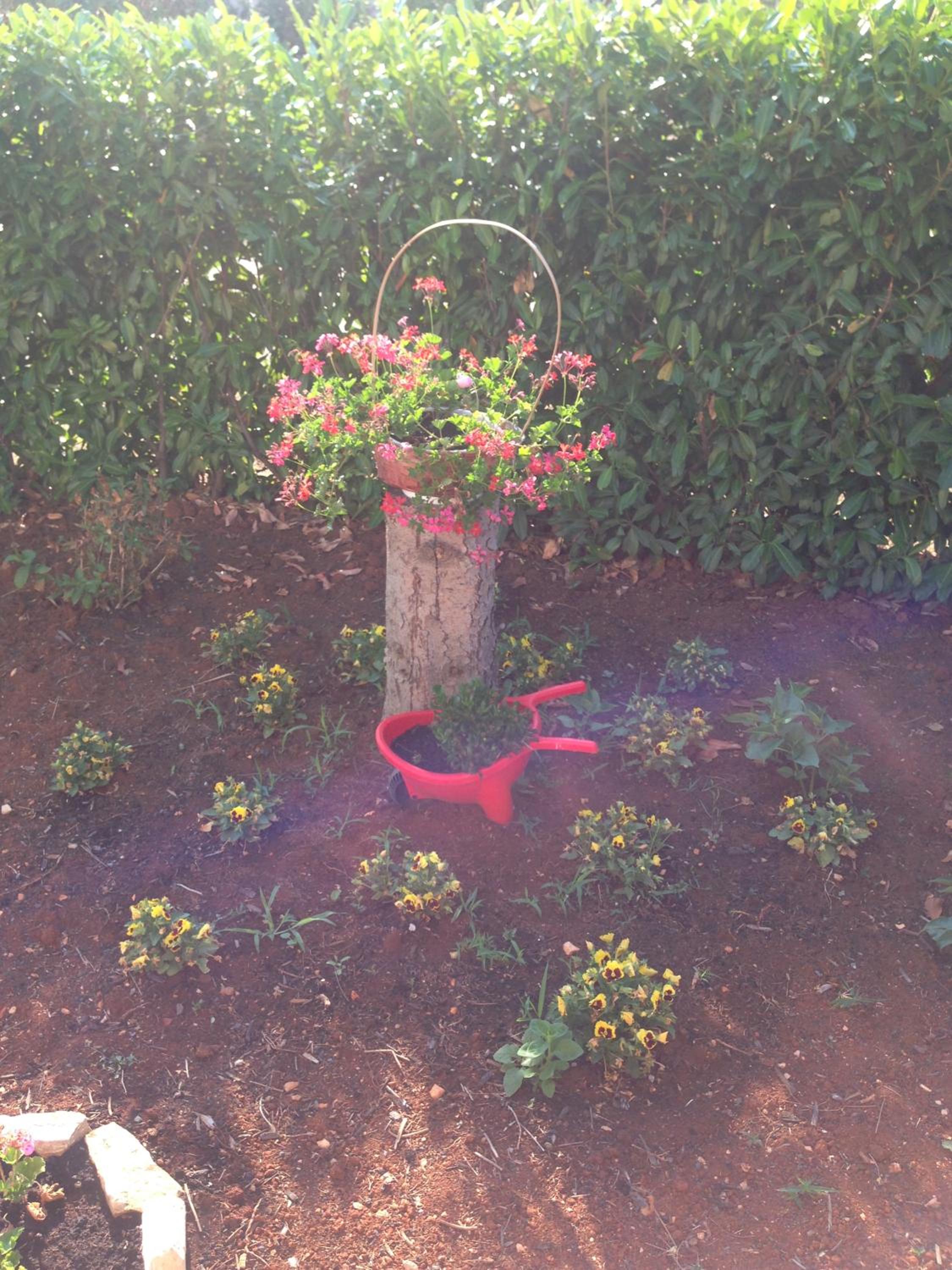 Photo 52