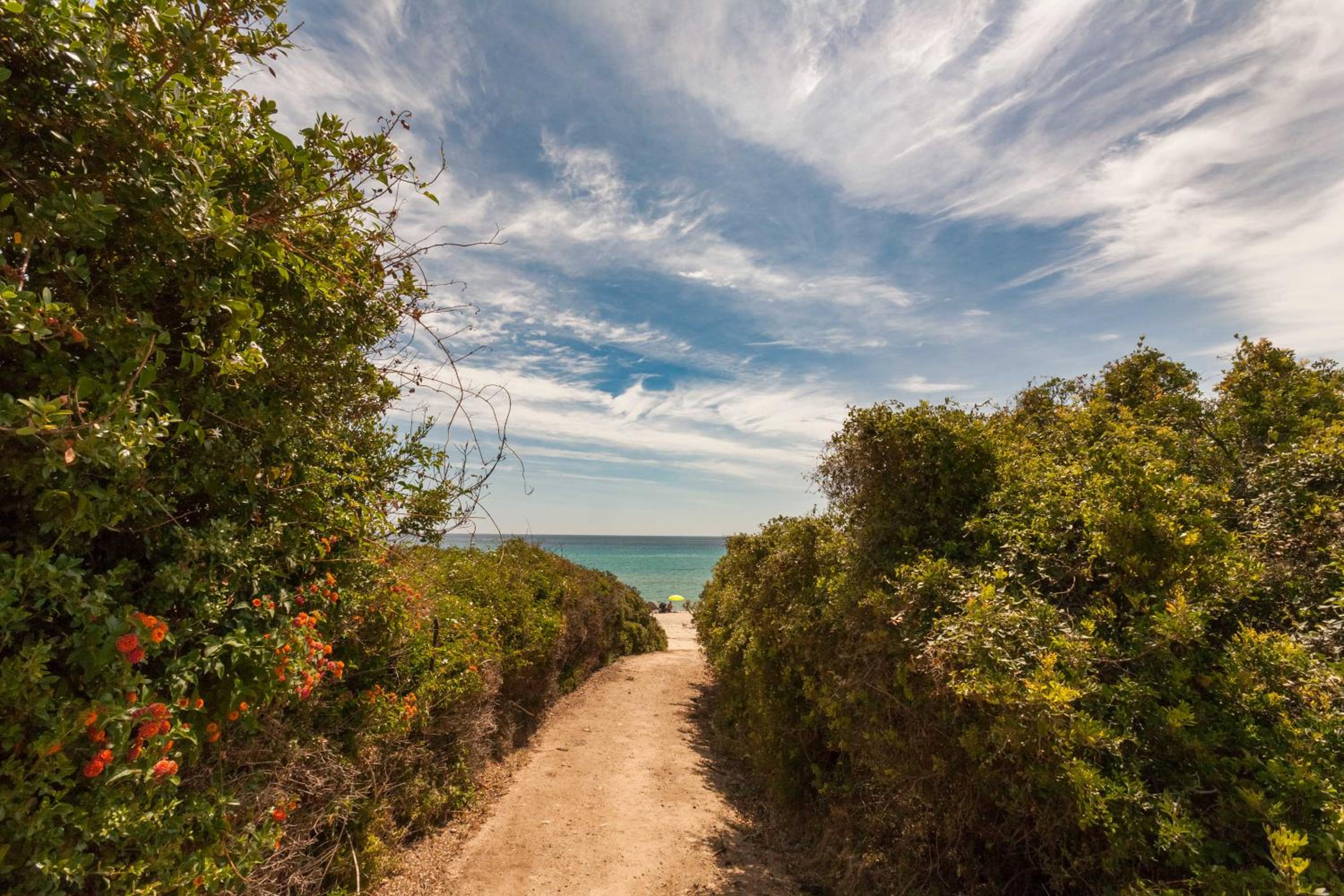 Free Beach Apartments