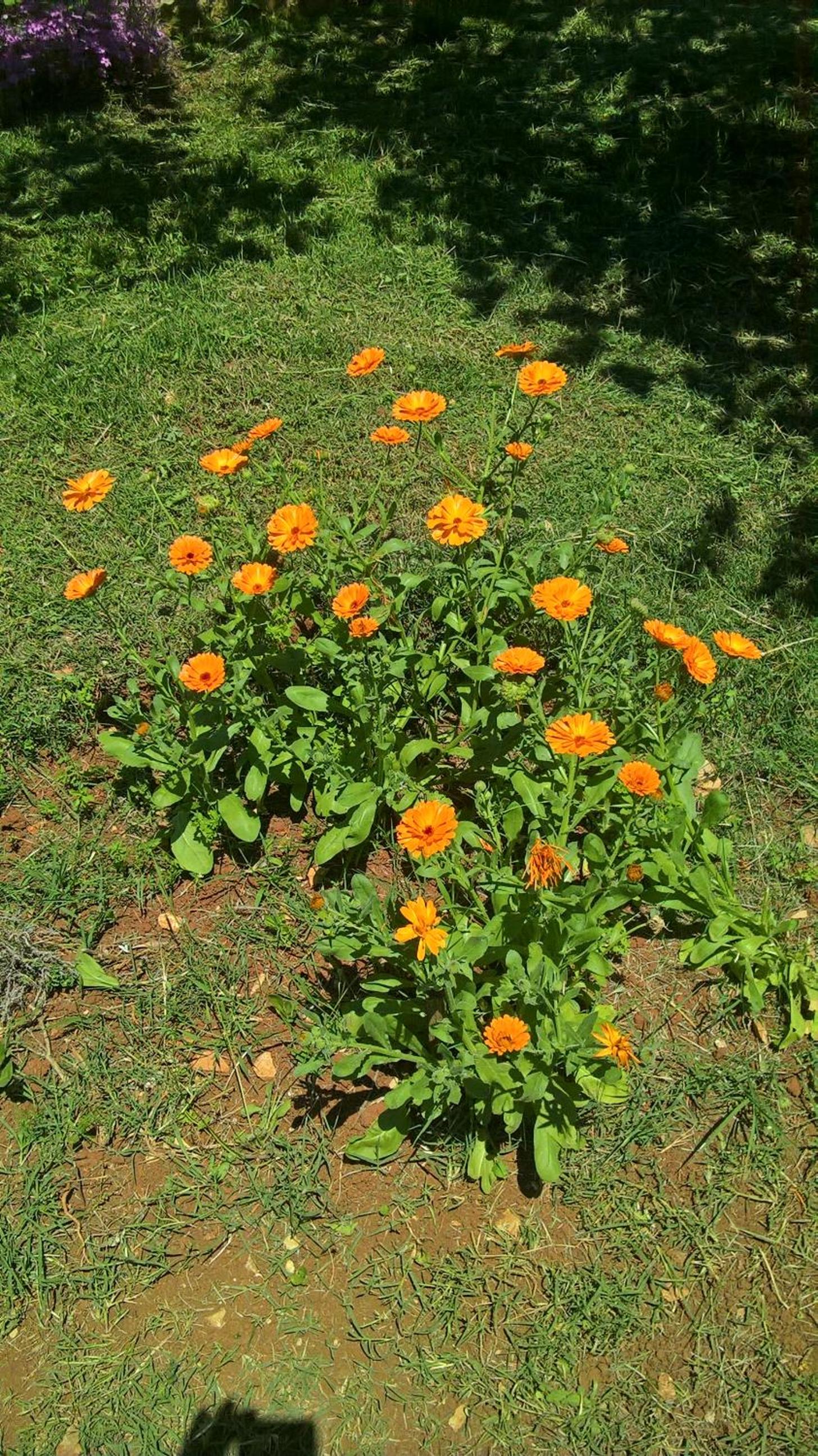 Photo 64