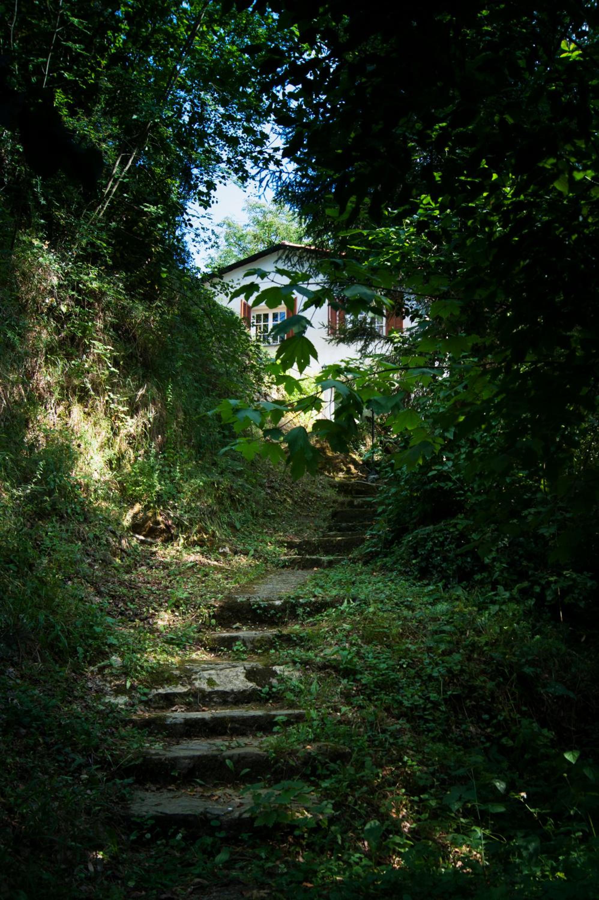 Photo 20